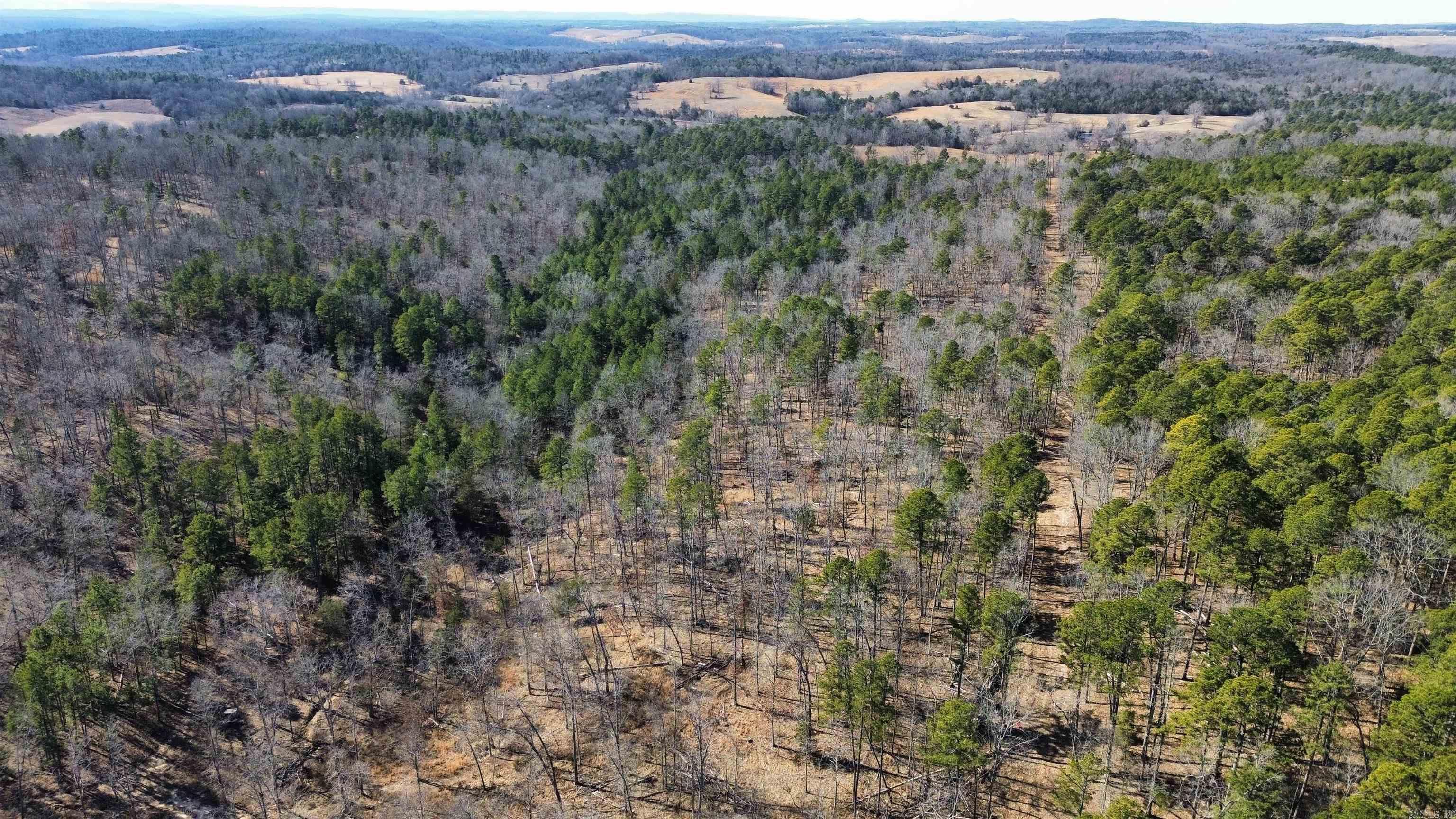 120A  Campground Road  Wideman, AR