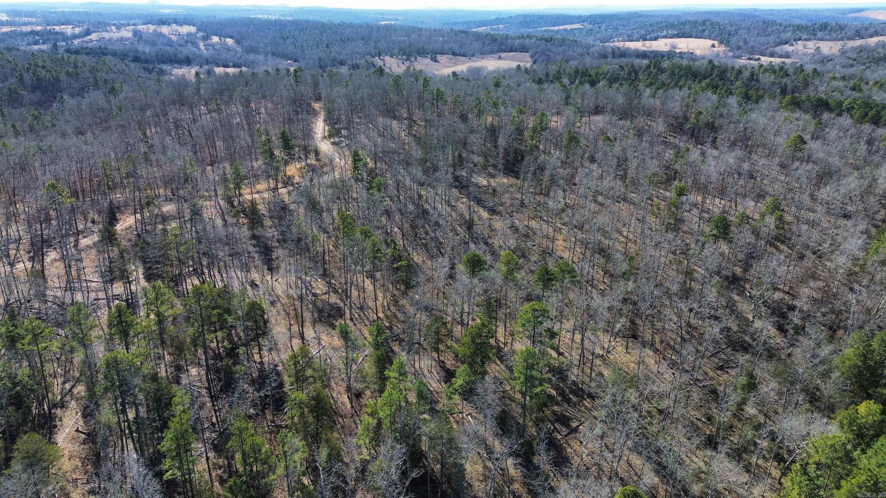120A  Campground Road  Wideman, AR