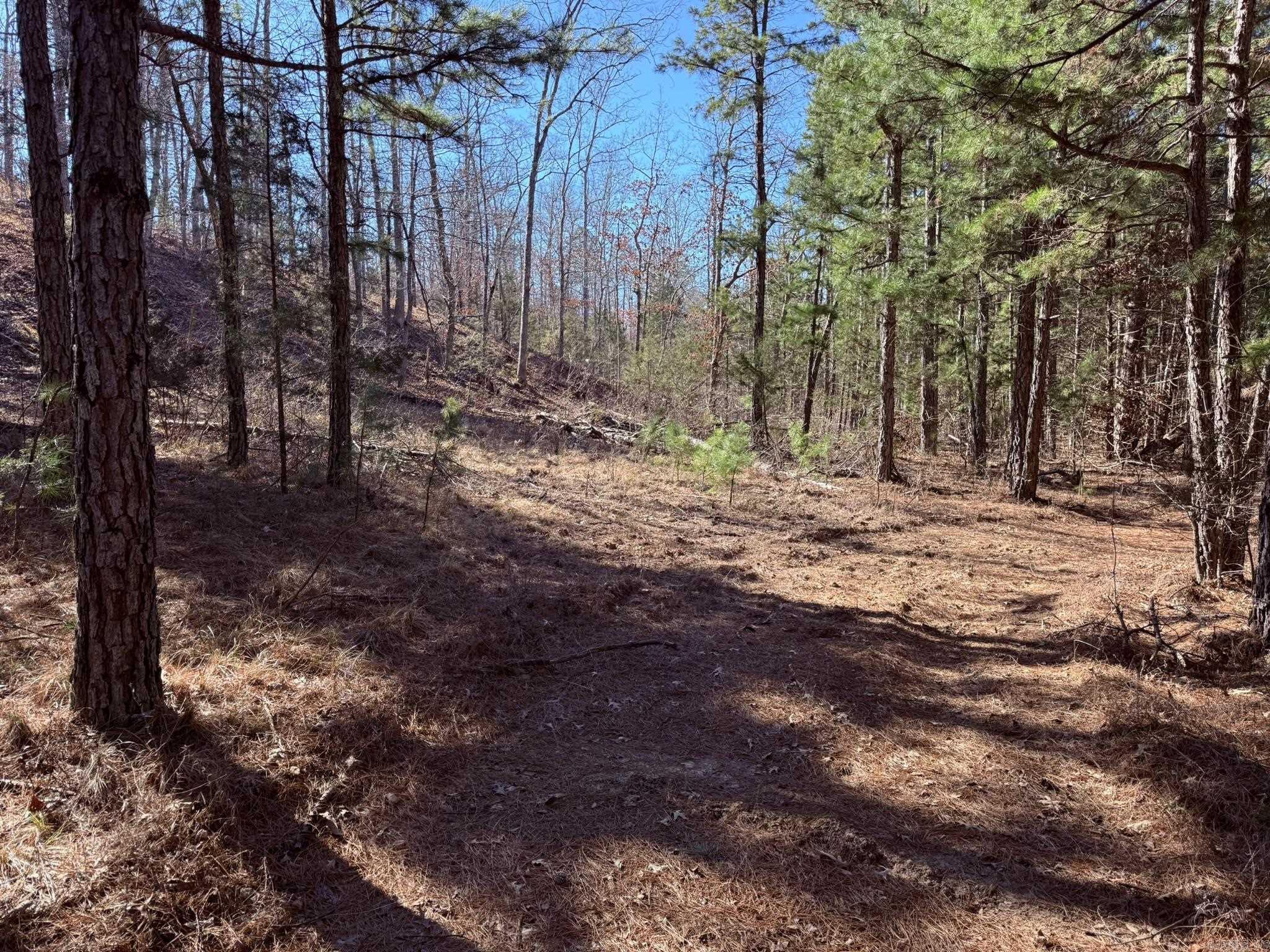 120A  Campground Road  Wideman, AR