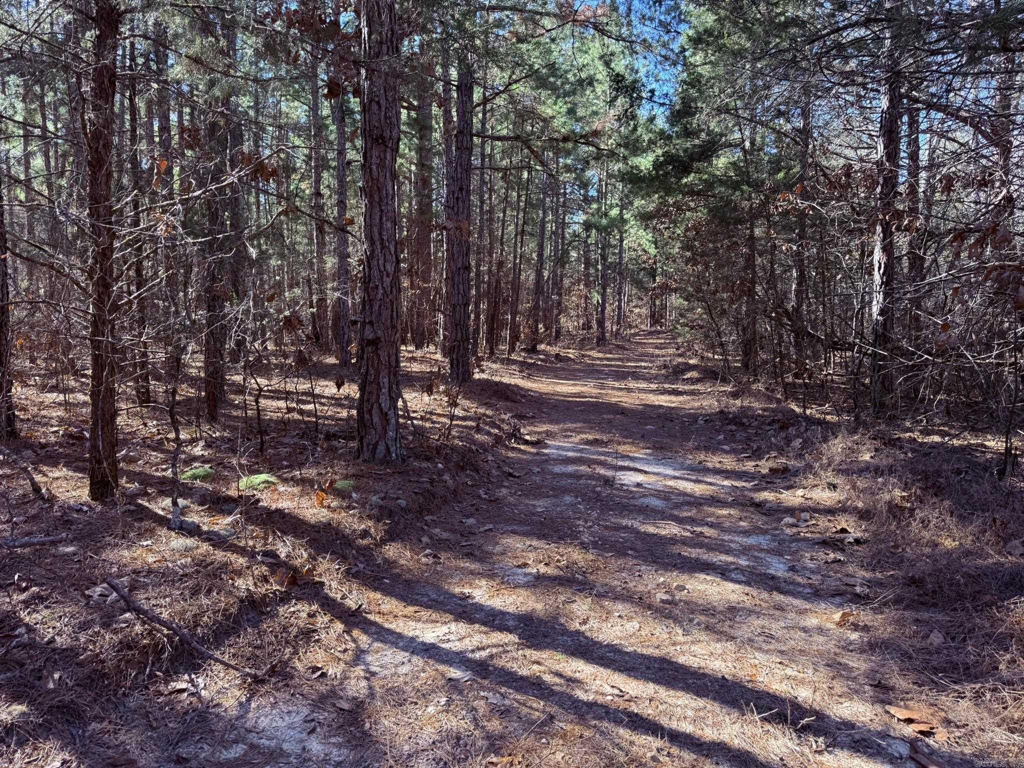 120A  Campground Road  Wideman, AR