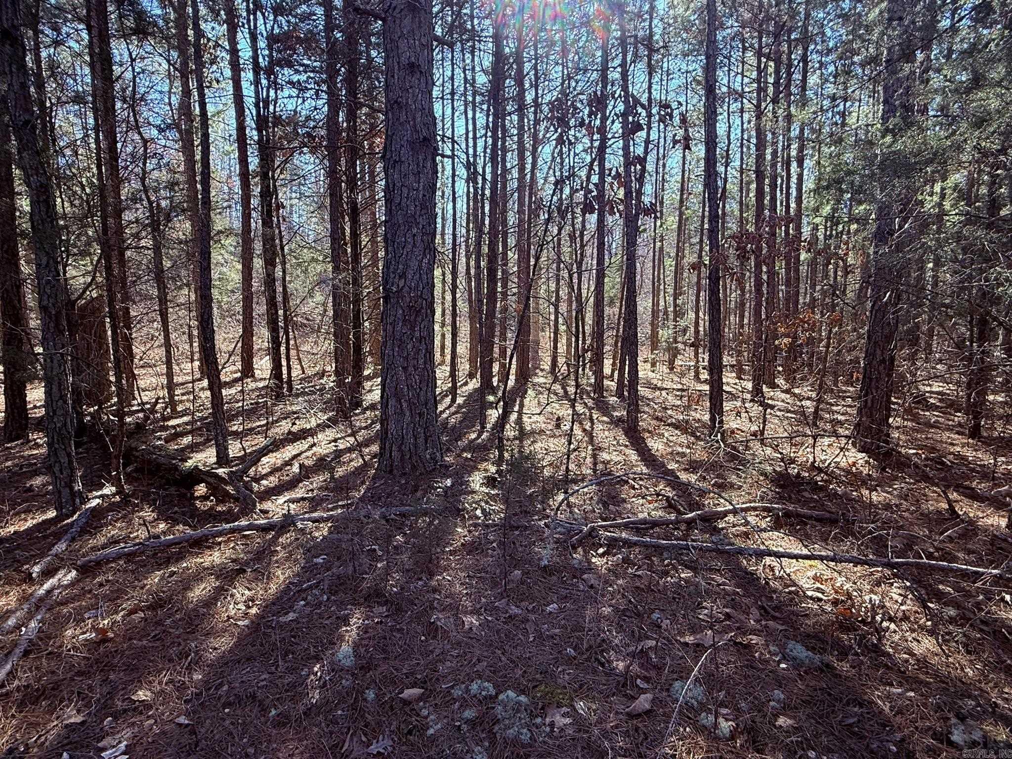 120A  Campground Road  Wideman, AR
