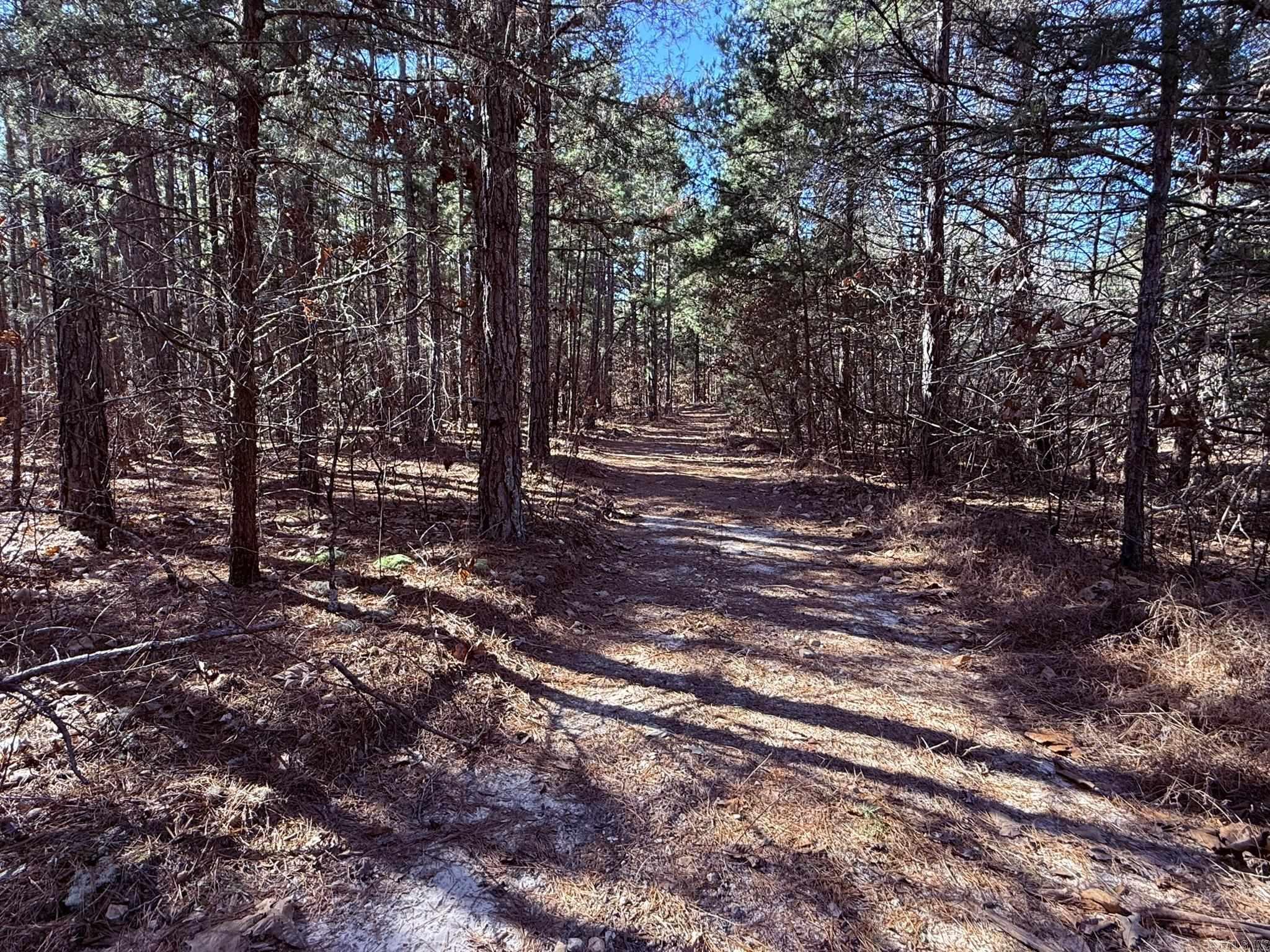 120A  Campground Road  Wideman, AR