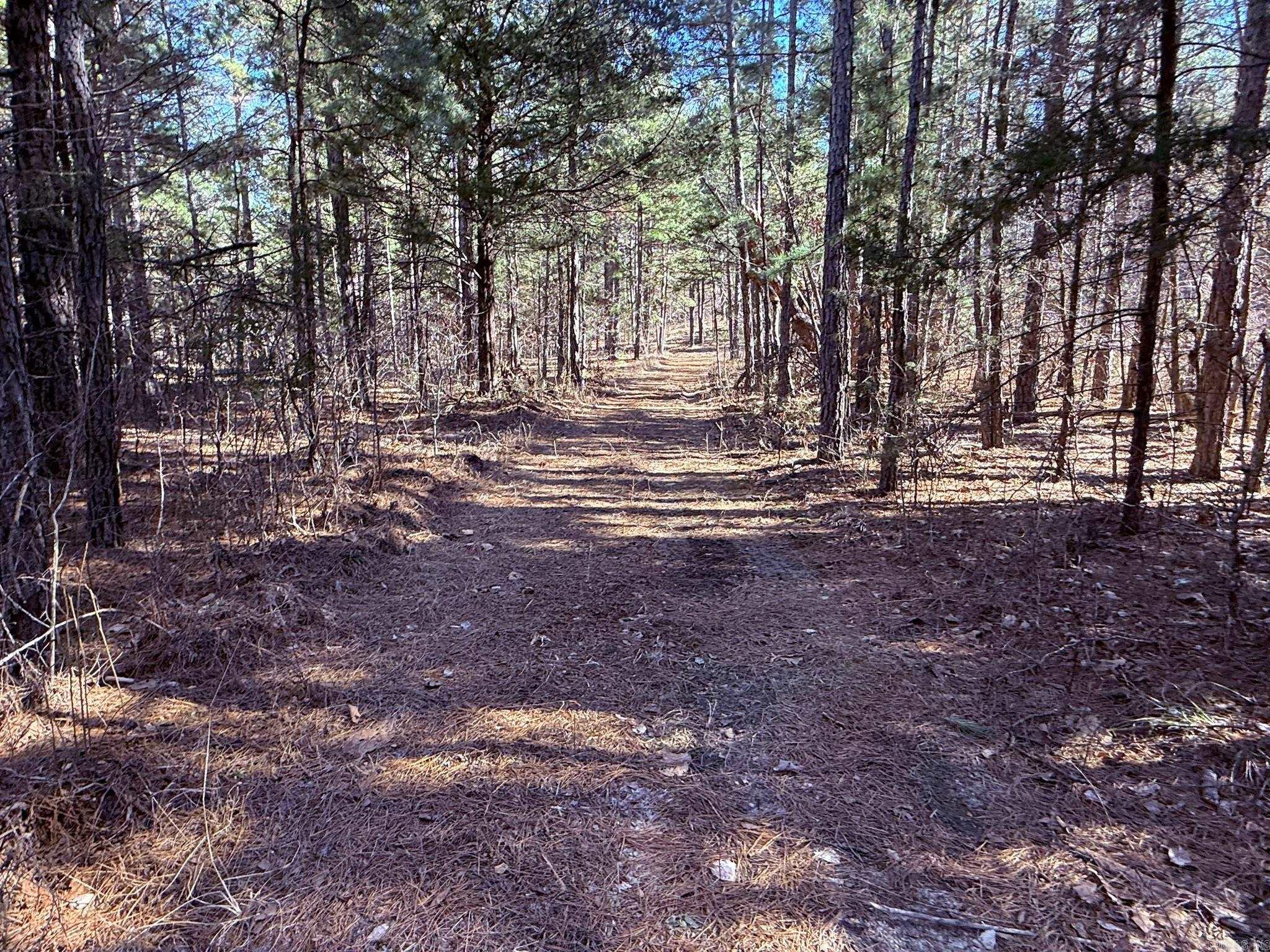 120A  Campground Road  Wideman, AR