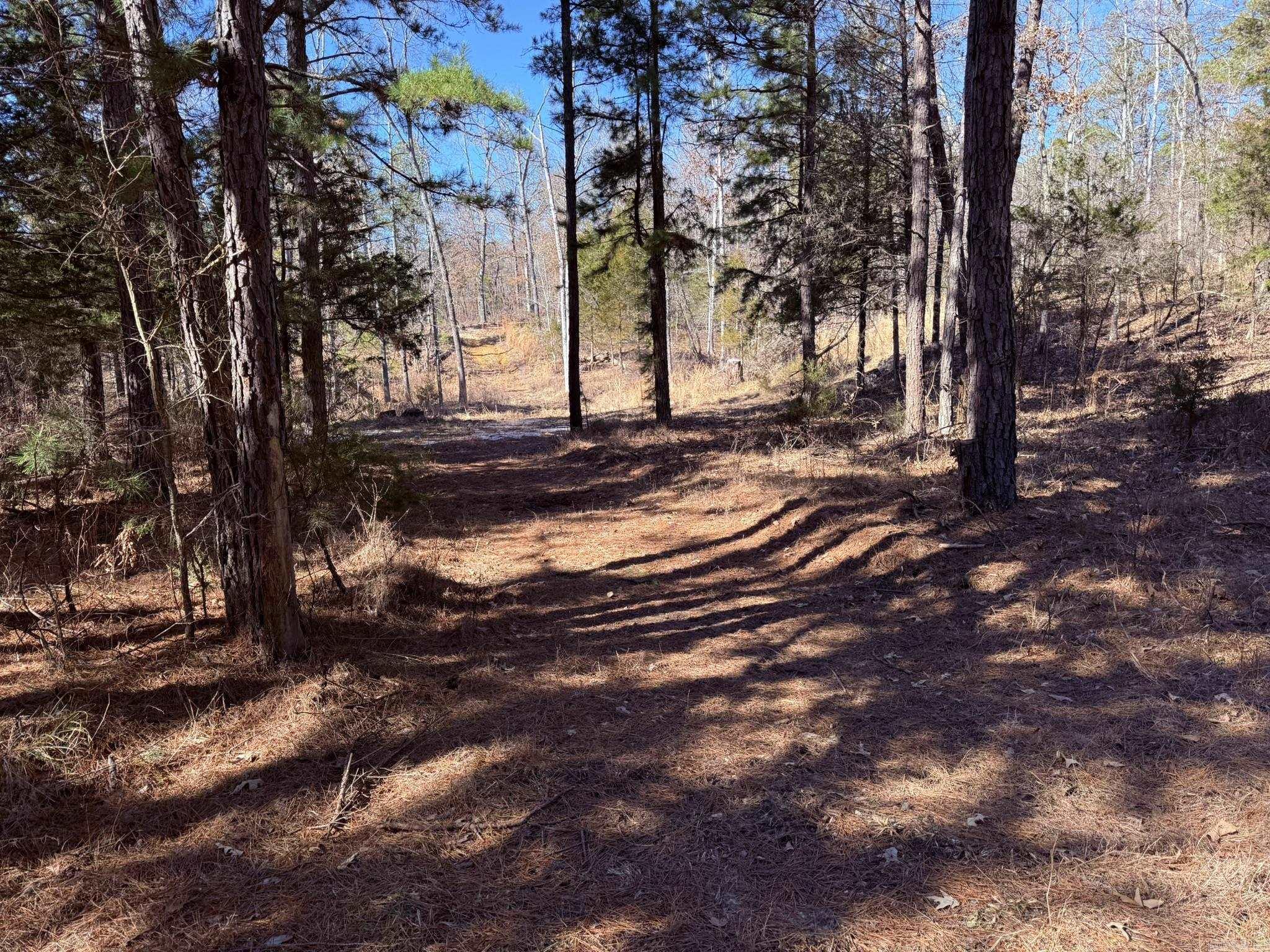 120A  Campground Road  Wideman, AR