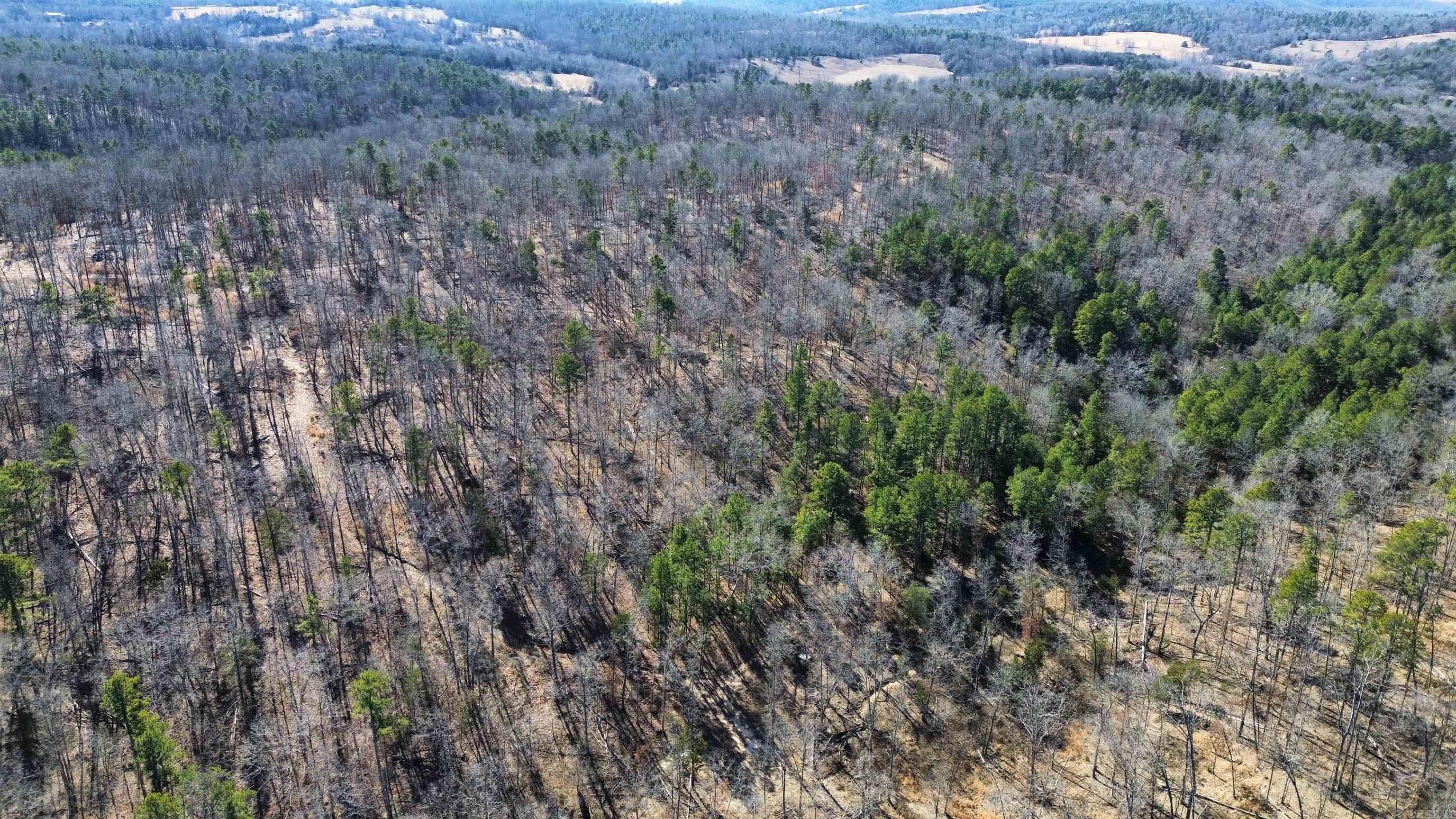 120A  Campground Road  Wideman, AR