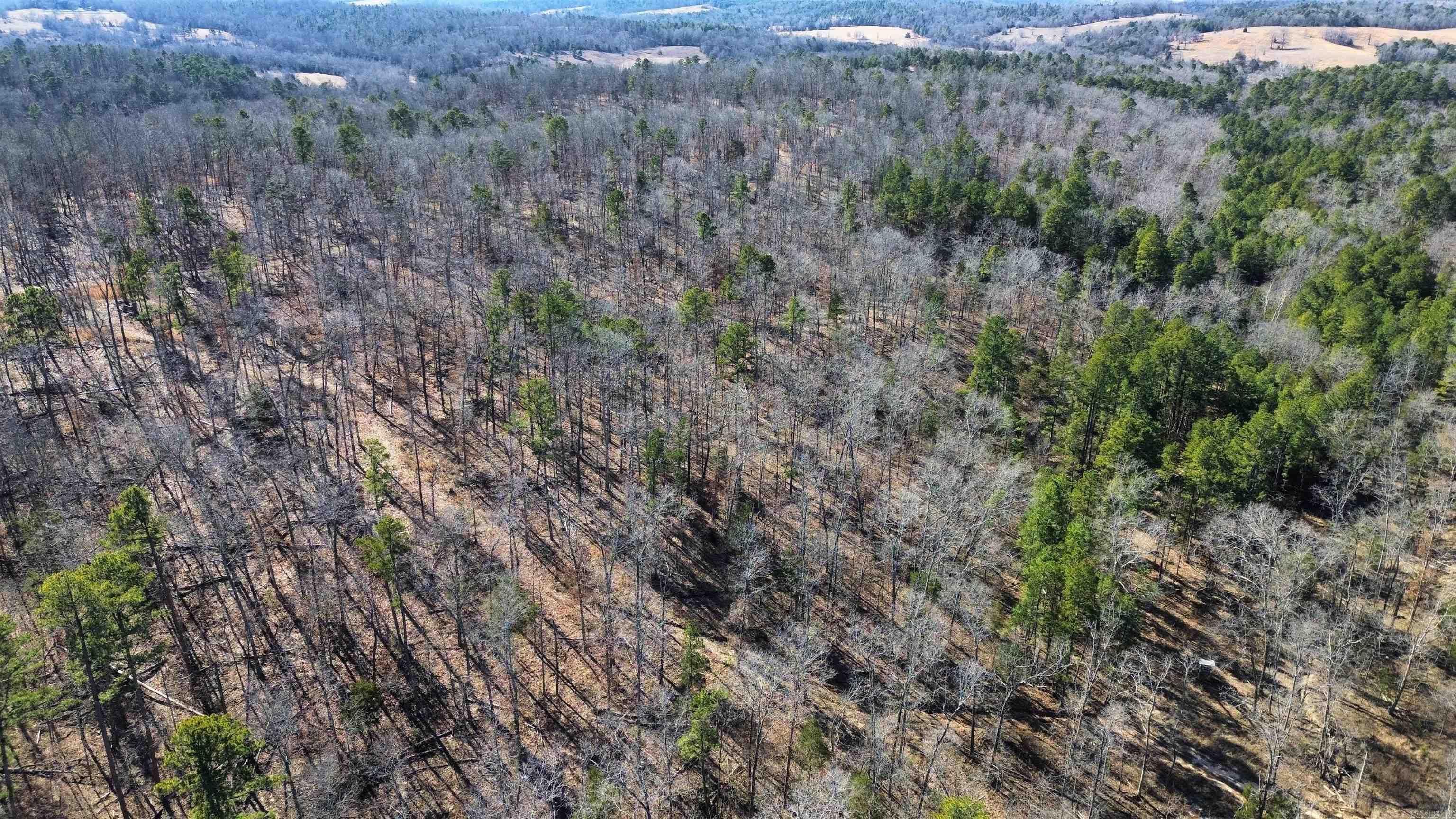 120A  Campground Road  Wideman, AR