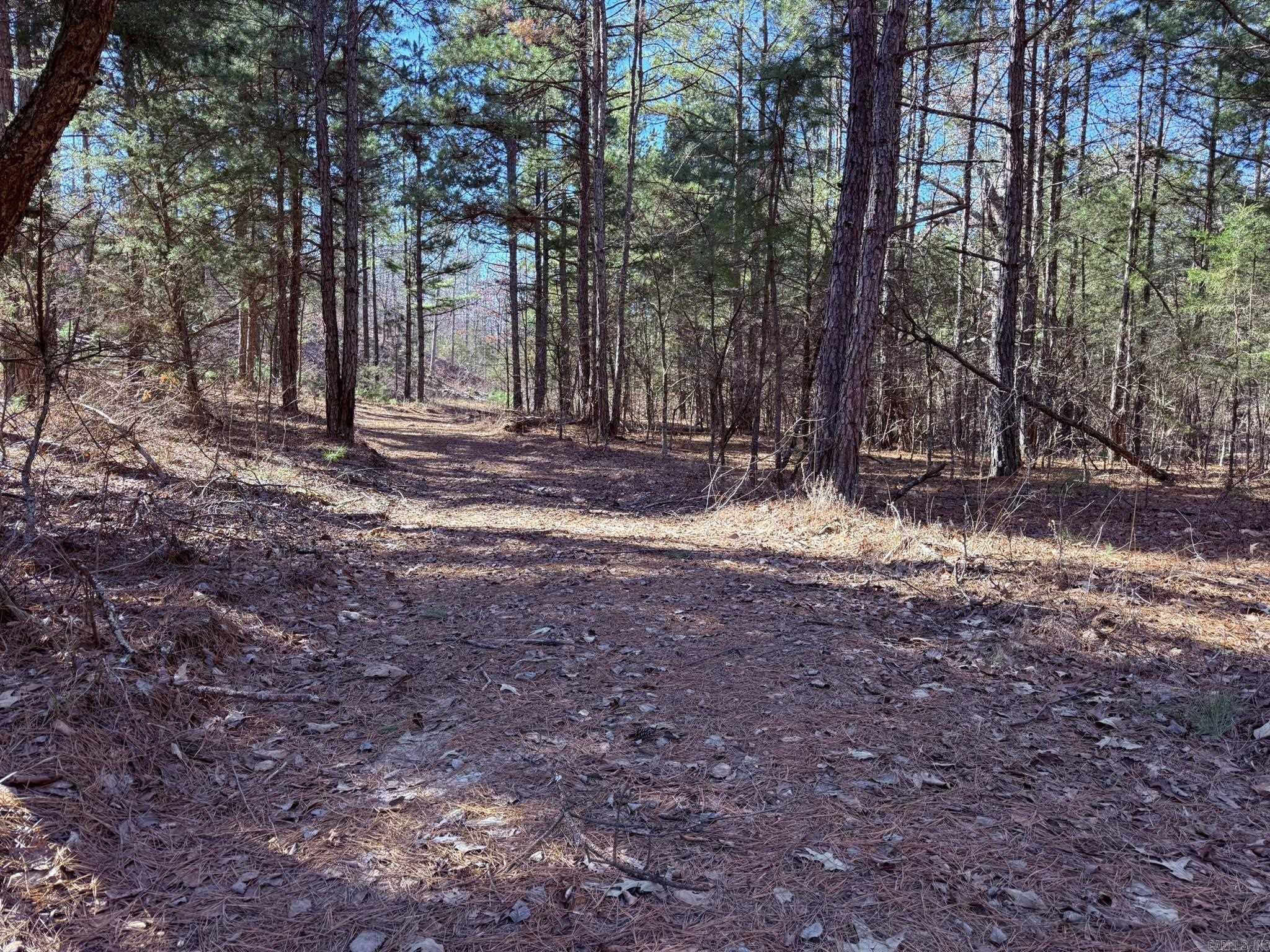 120A  Campground Road  Wideman, AR