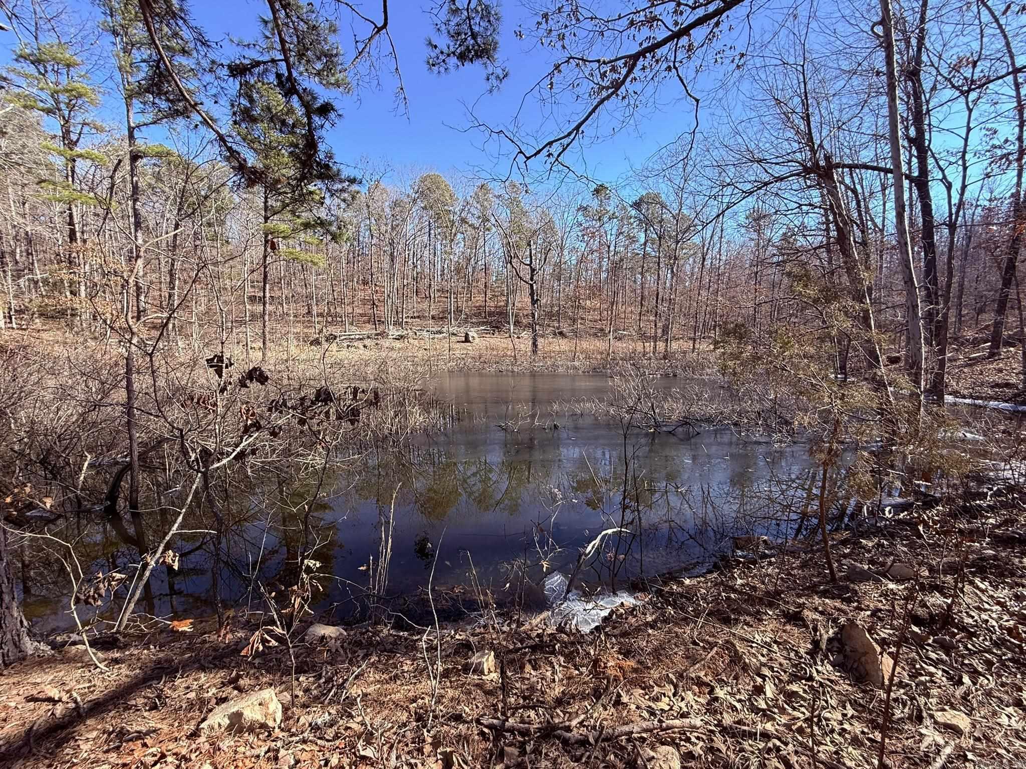120A  Campground Road  Wideman, AR