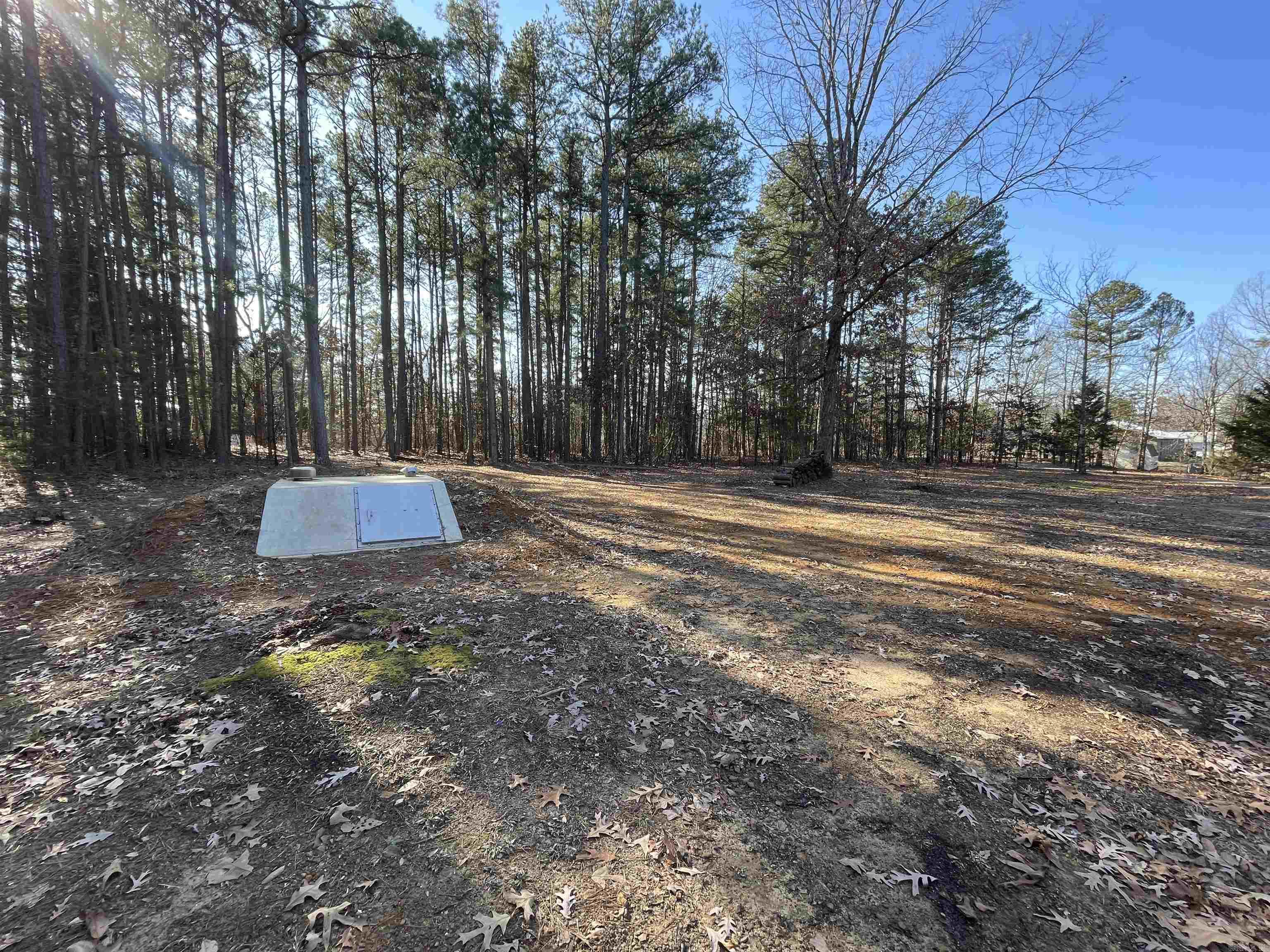 39 Crossroads E Quitman, AR 72131