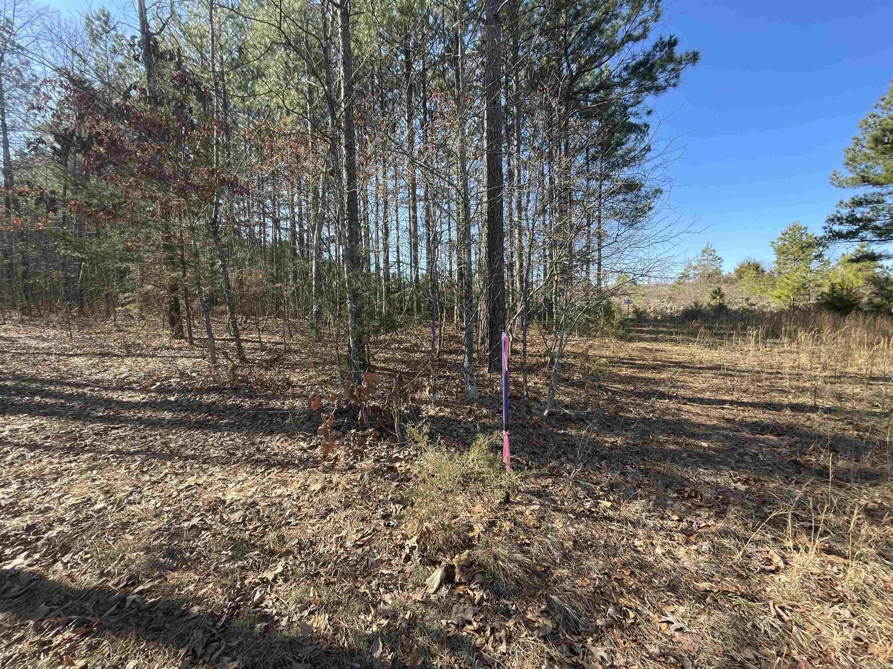 39 Crossroads E Quitman, AR 72131