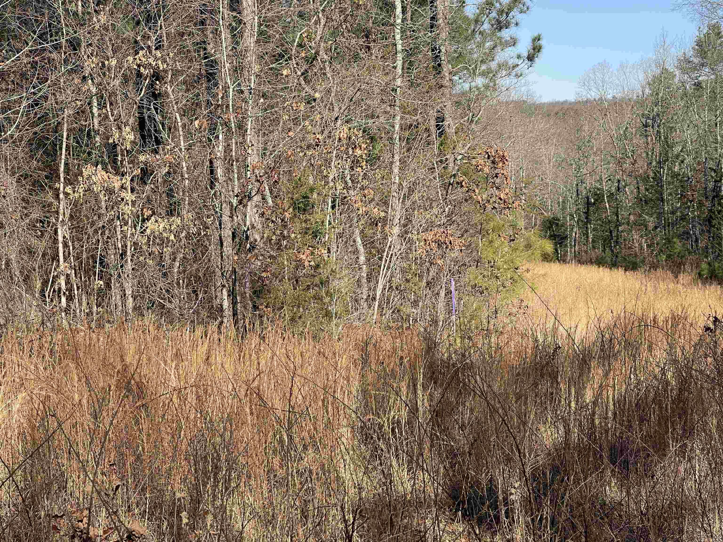 39 Crossroads E Quitman, AR 72131
