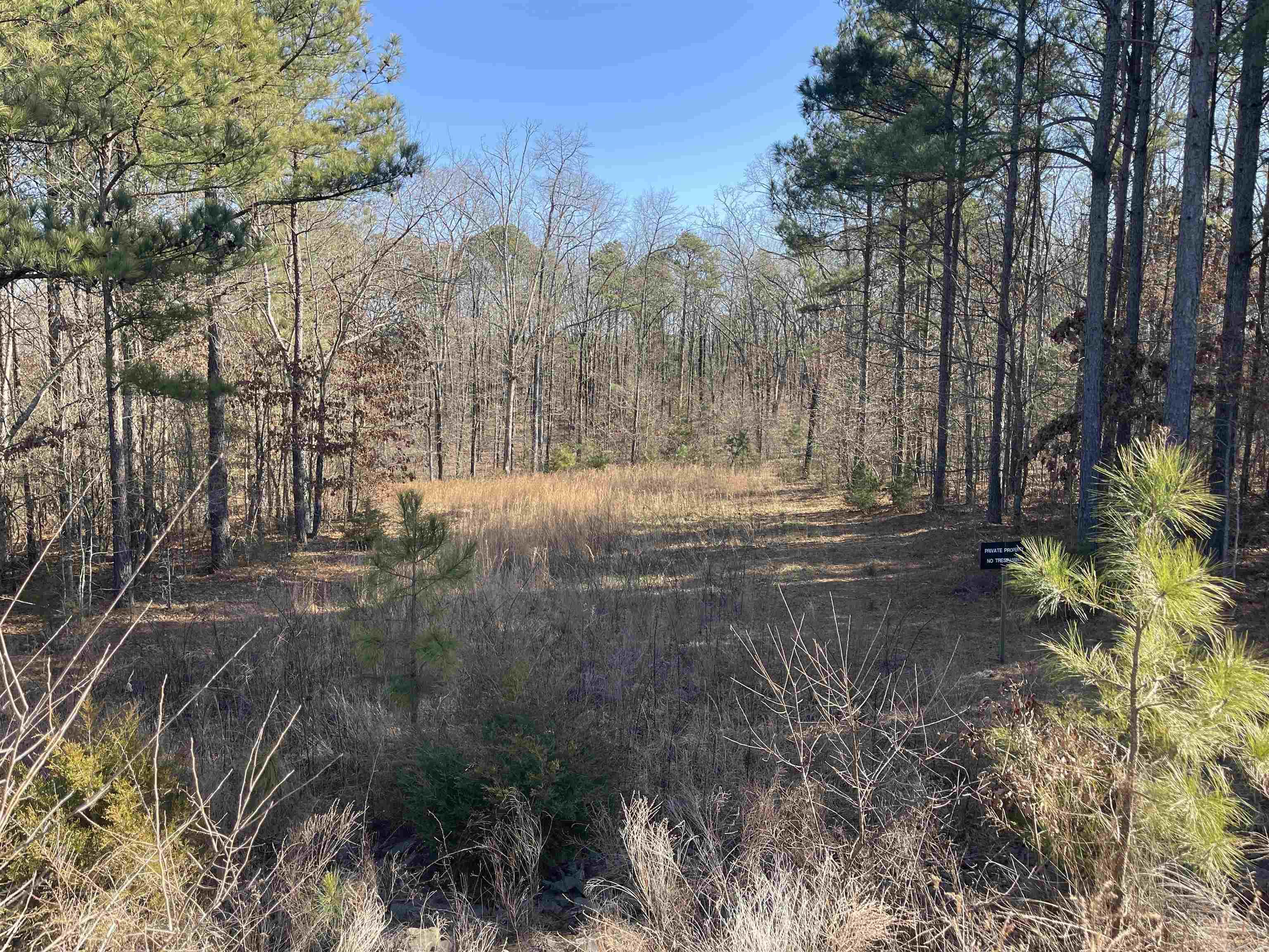 39 Crossroads E Quitman, AR 72131