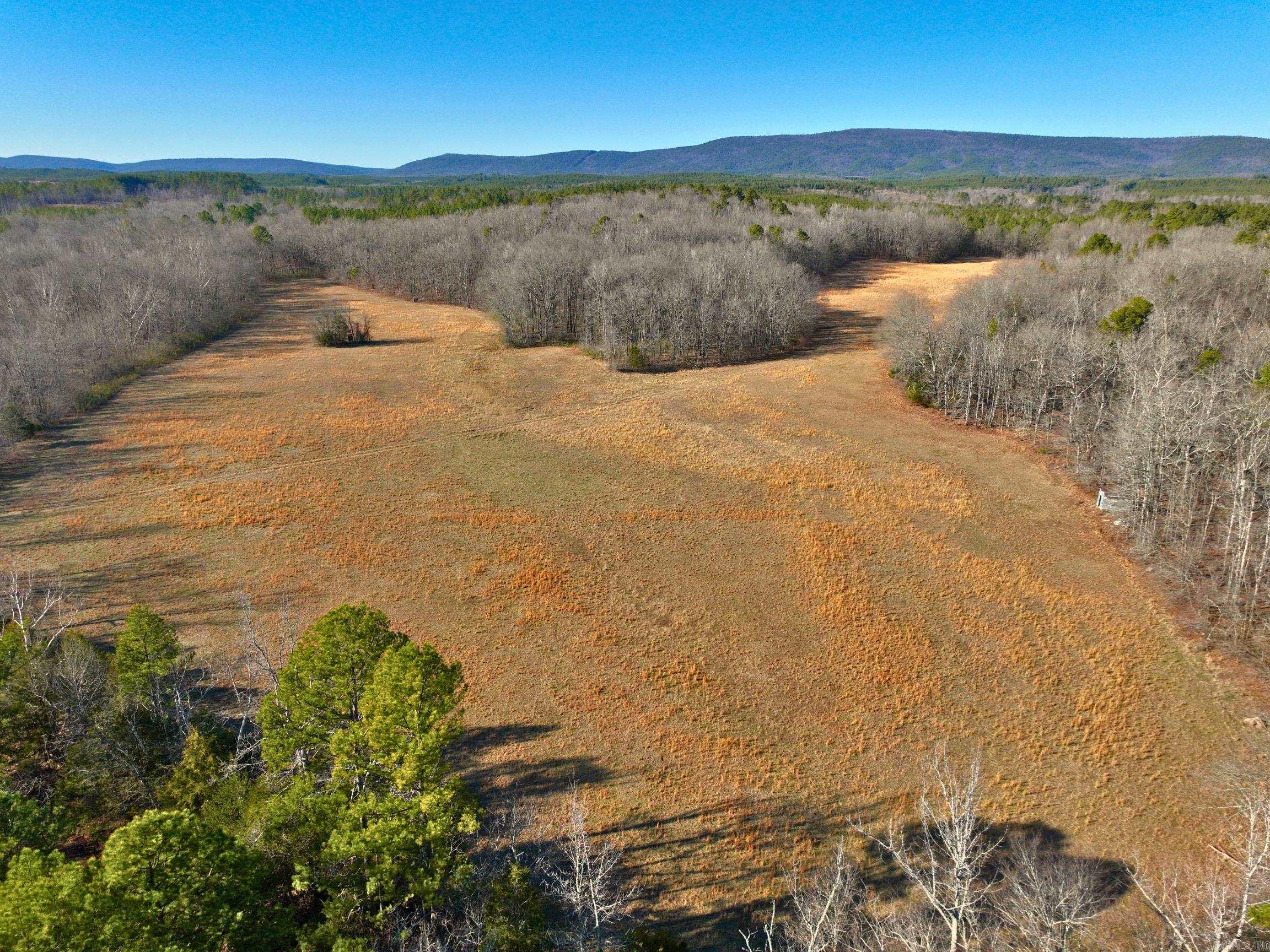 459  Clubhill  Jessieville, AR