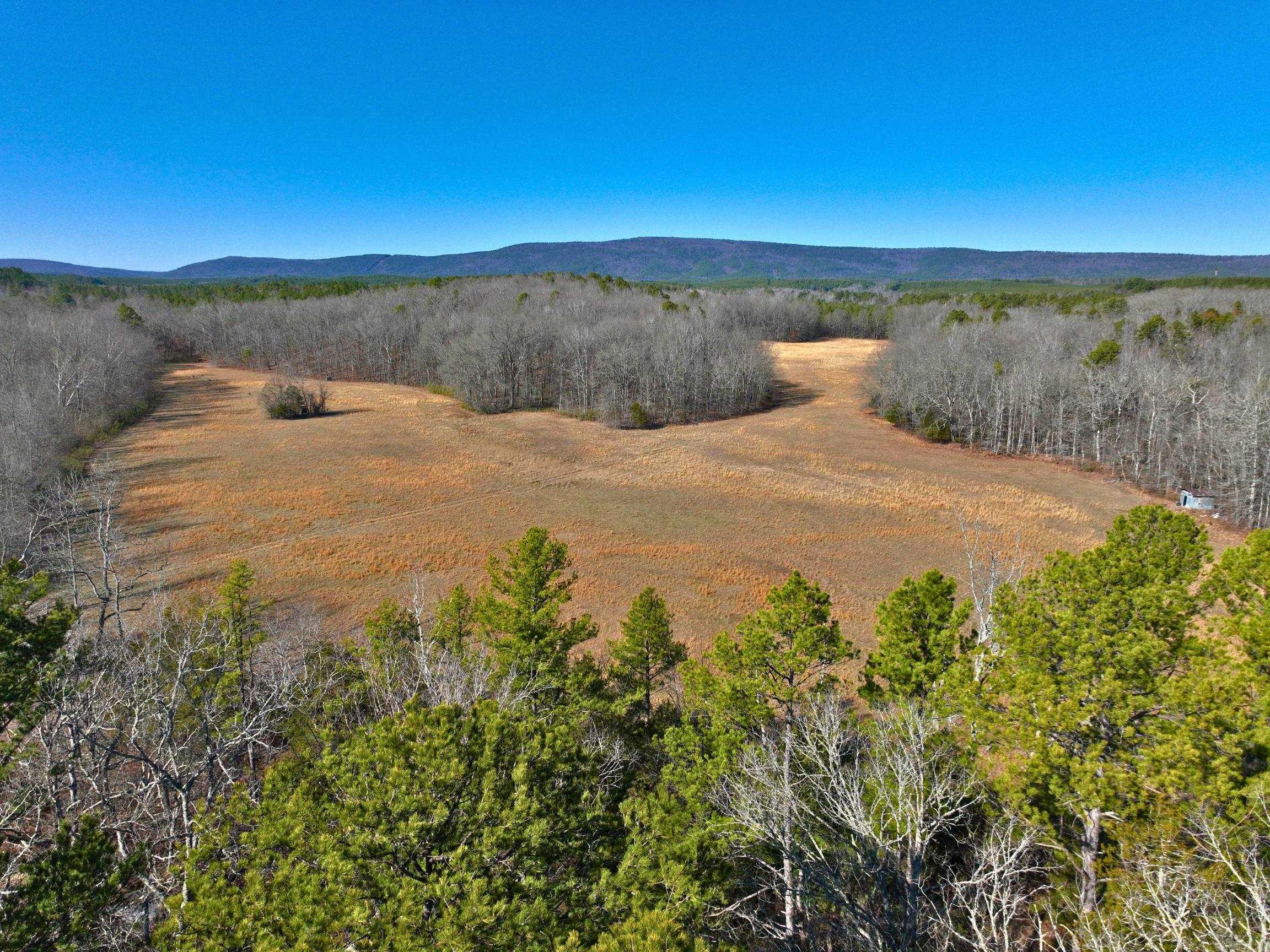 459  Clubhill  Jessieville, AR