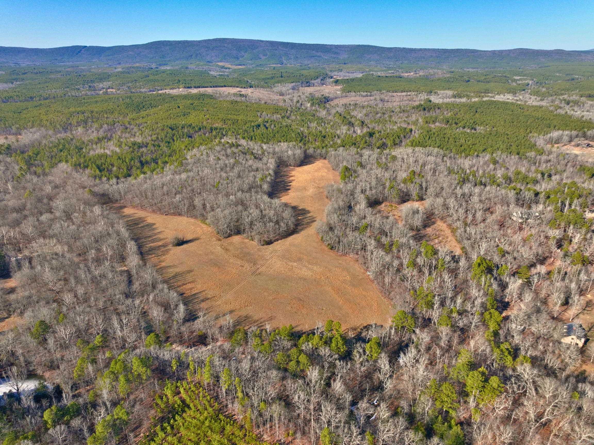 459  Clubhill  Jessieville, AR