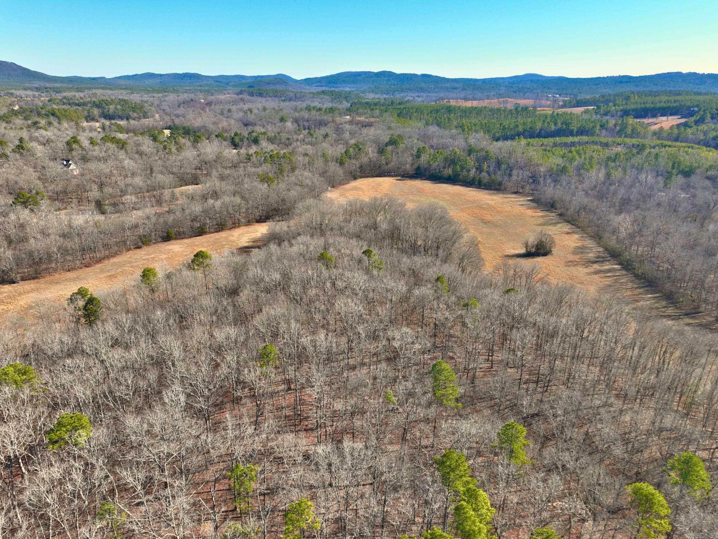 459  Clubhill  Jessieville, AR