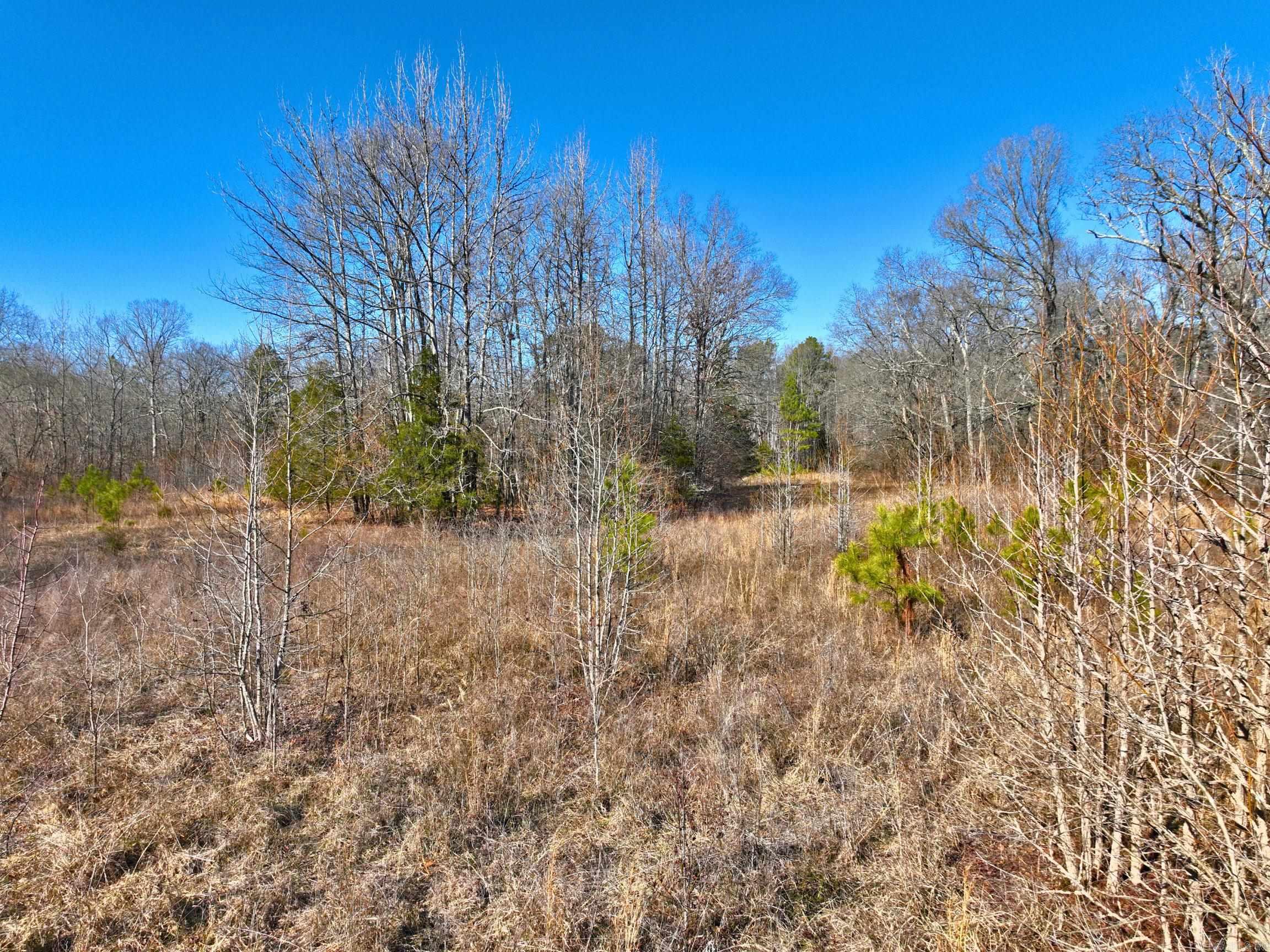 459  Clubhill  Jessieville, AR