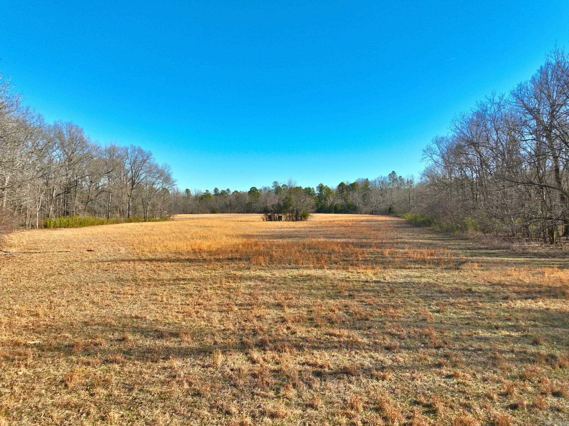 459  Clubhill  Jessieville, AR