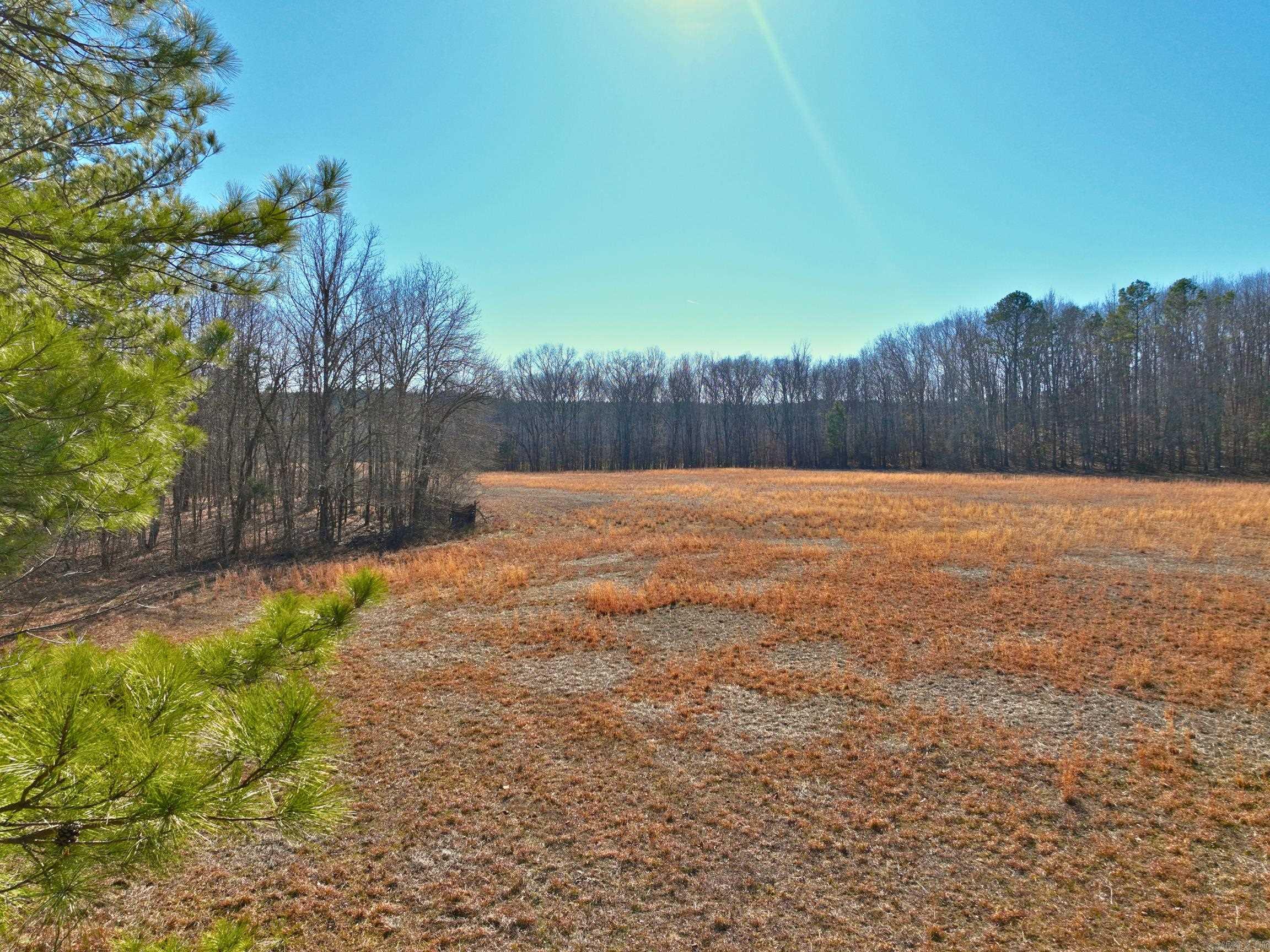 459  Clubhill  Jessieville, AR