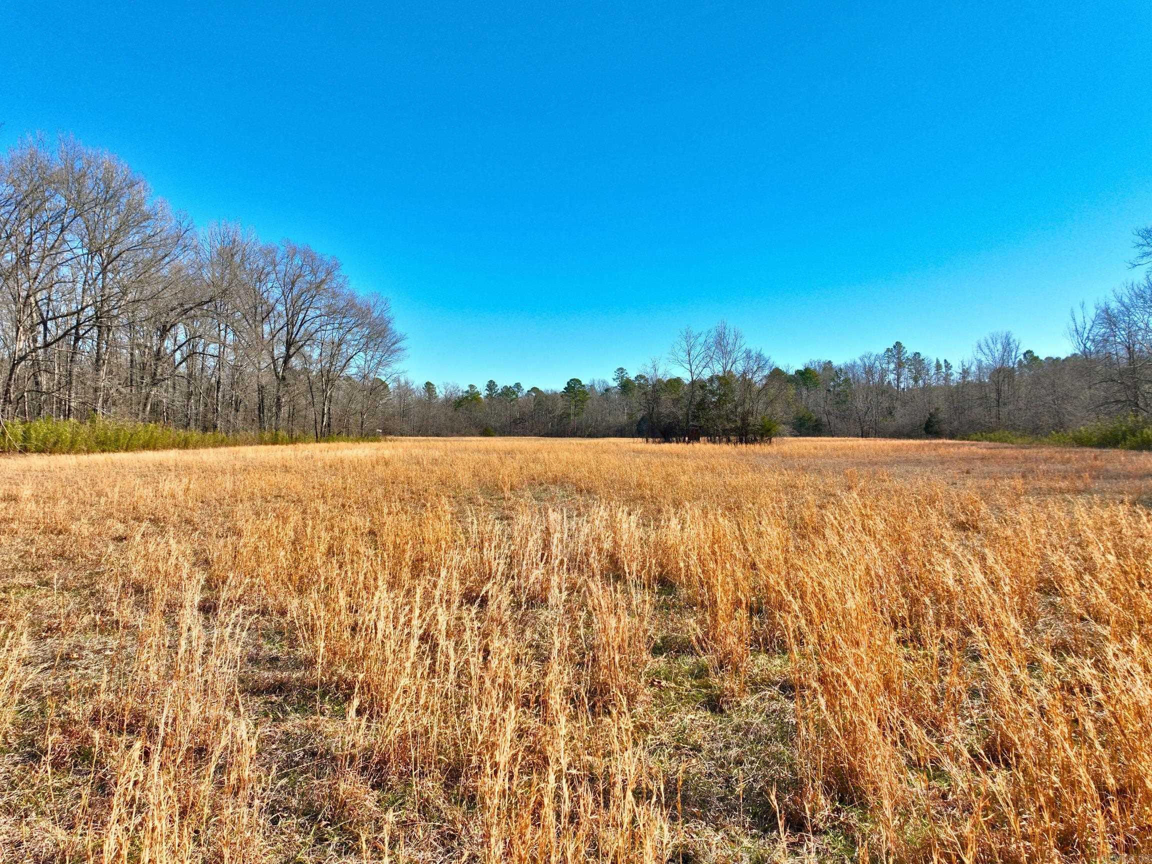 459  Clubhill  Jessieville, AR