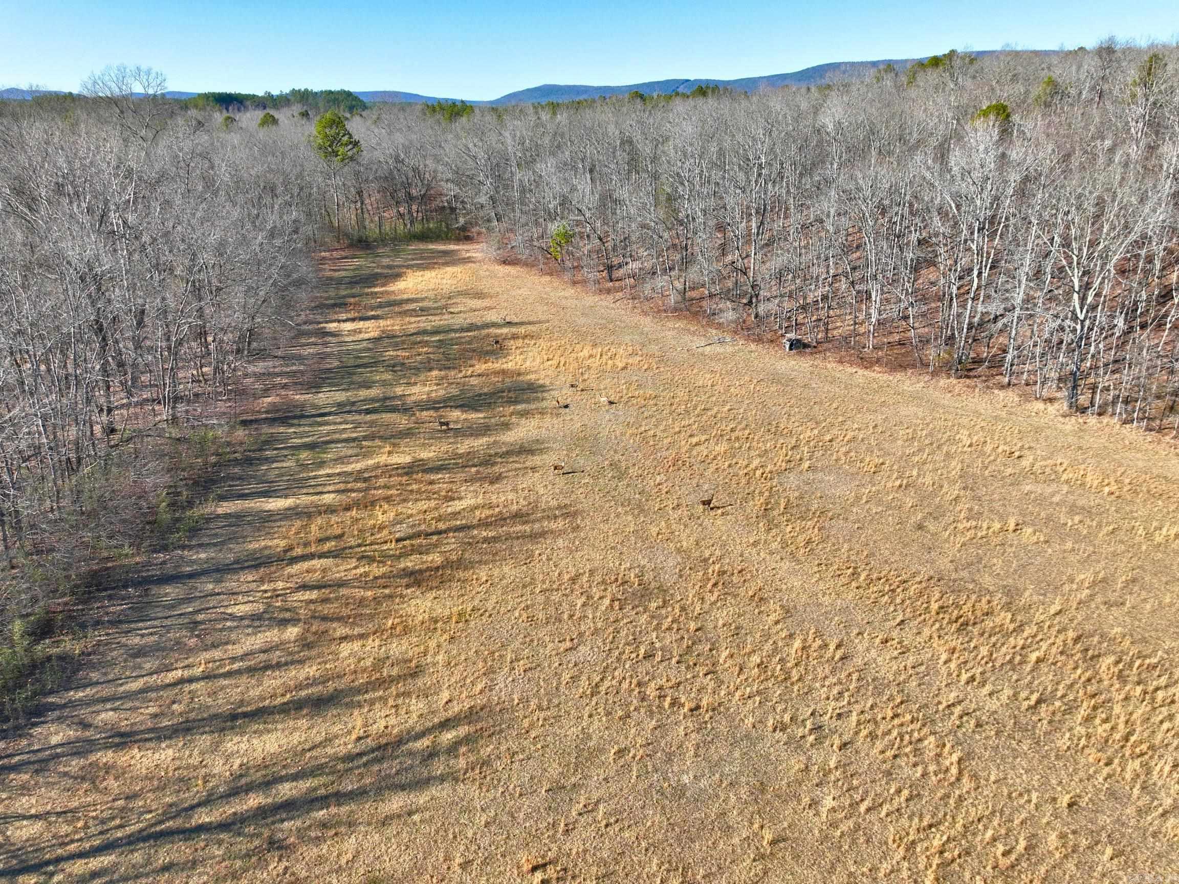 459  Clubhill  Jessieville, AR