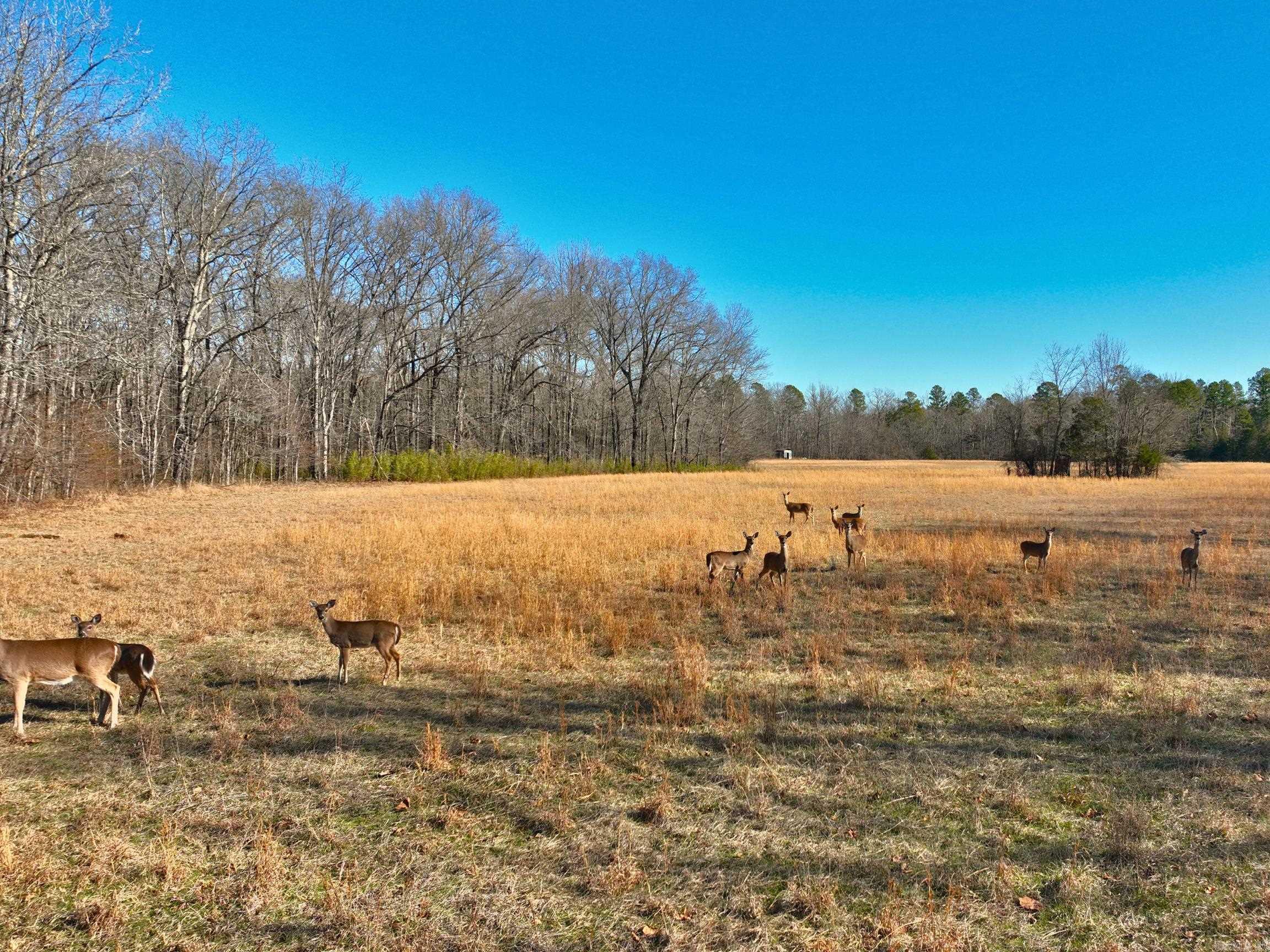 459  Clubhill  Jessieville, AR