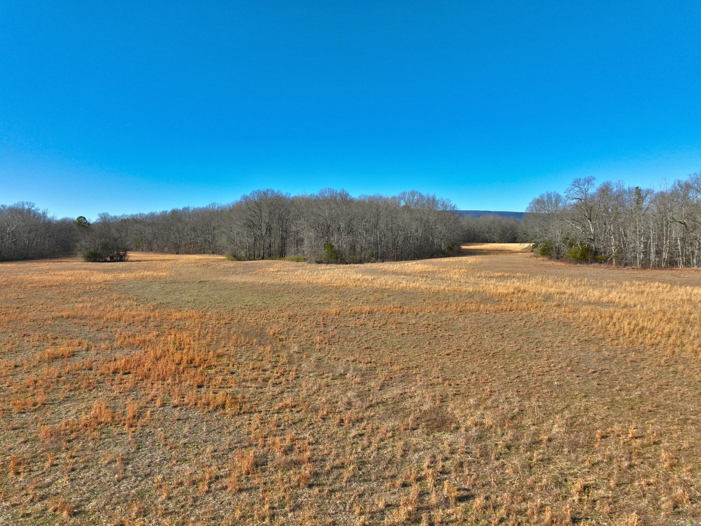 459  Clubhill  Jessieville, AR