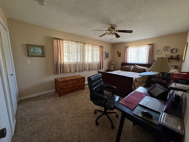 2703 South Shore Drive Horseshoe Bend, AR 72512