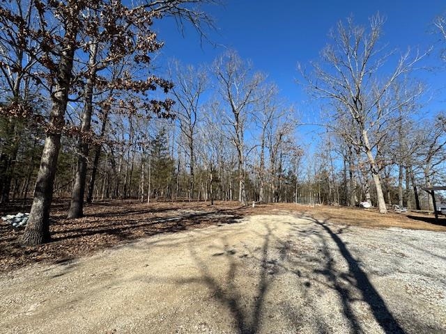 2703 South Shore Drive Horseshoe Bend, AR 72512