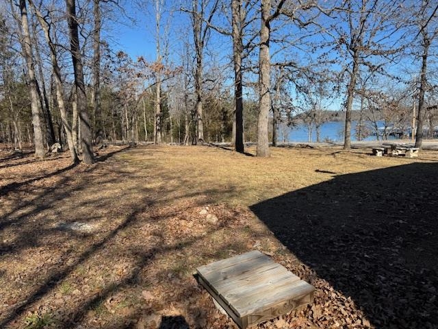 2703 South Shore Drive Horseshoe Bend, AR 72512