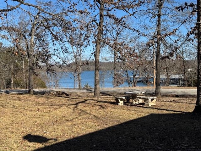 2703 South Shore Drive Horseshoe Bend, AR 72512