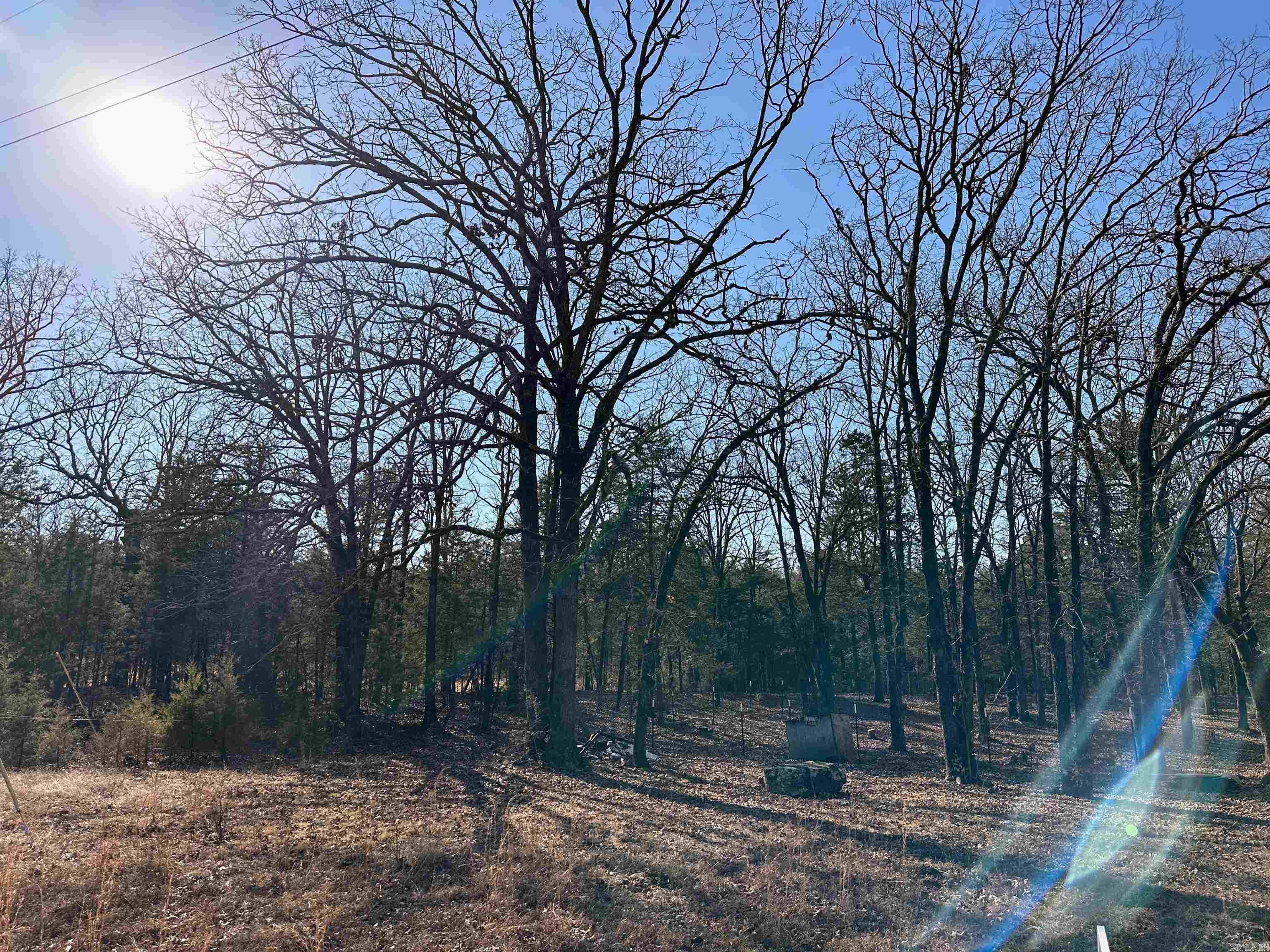 210  PR 3013  Altus, AR