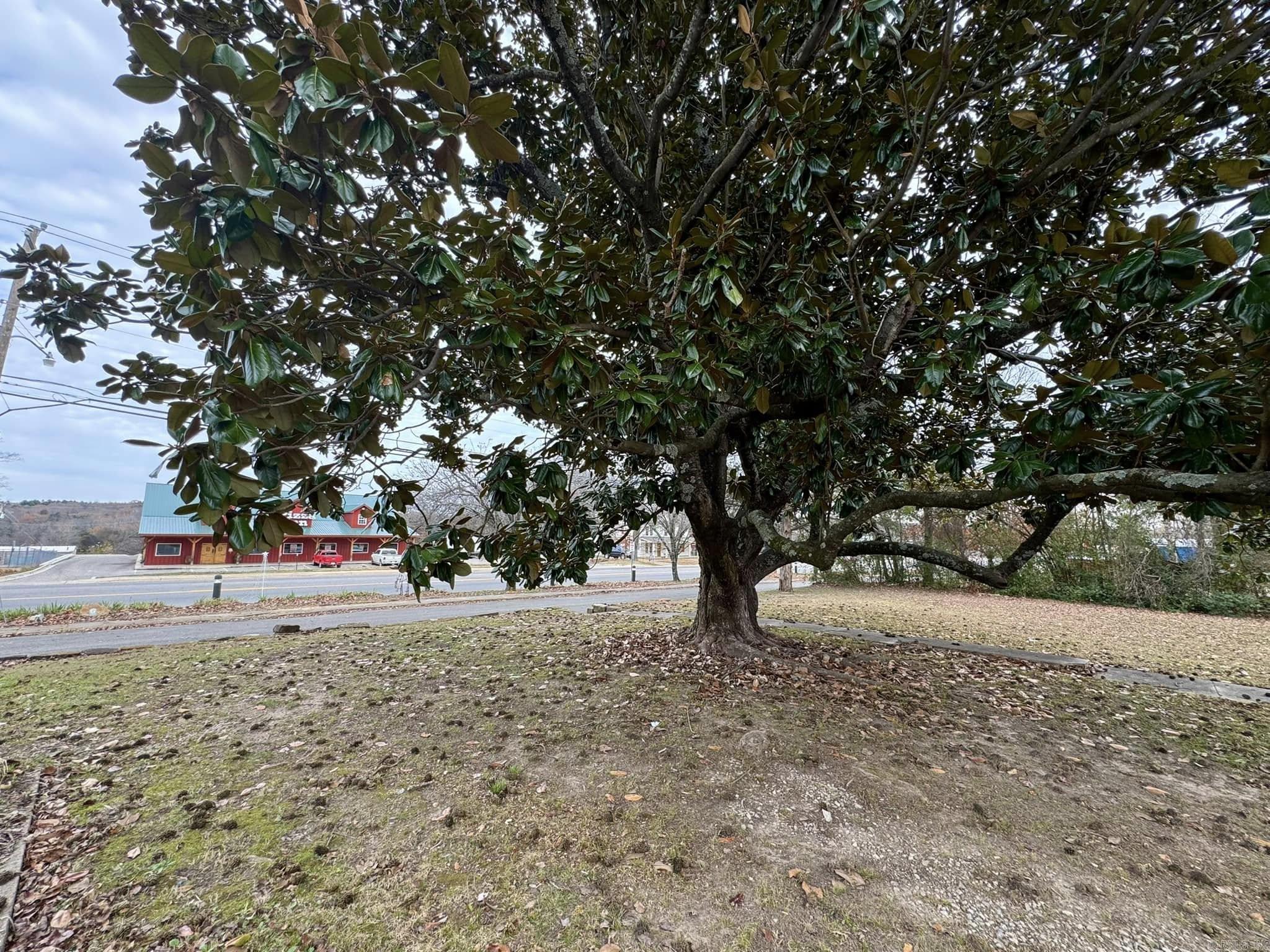 215  Service Street  Mountain View, AR