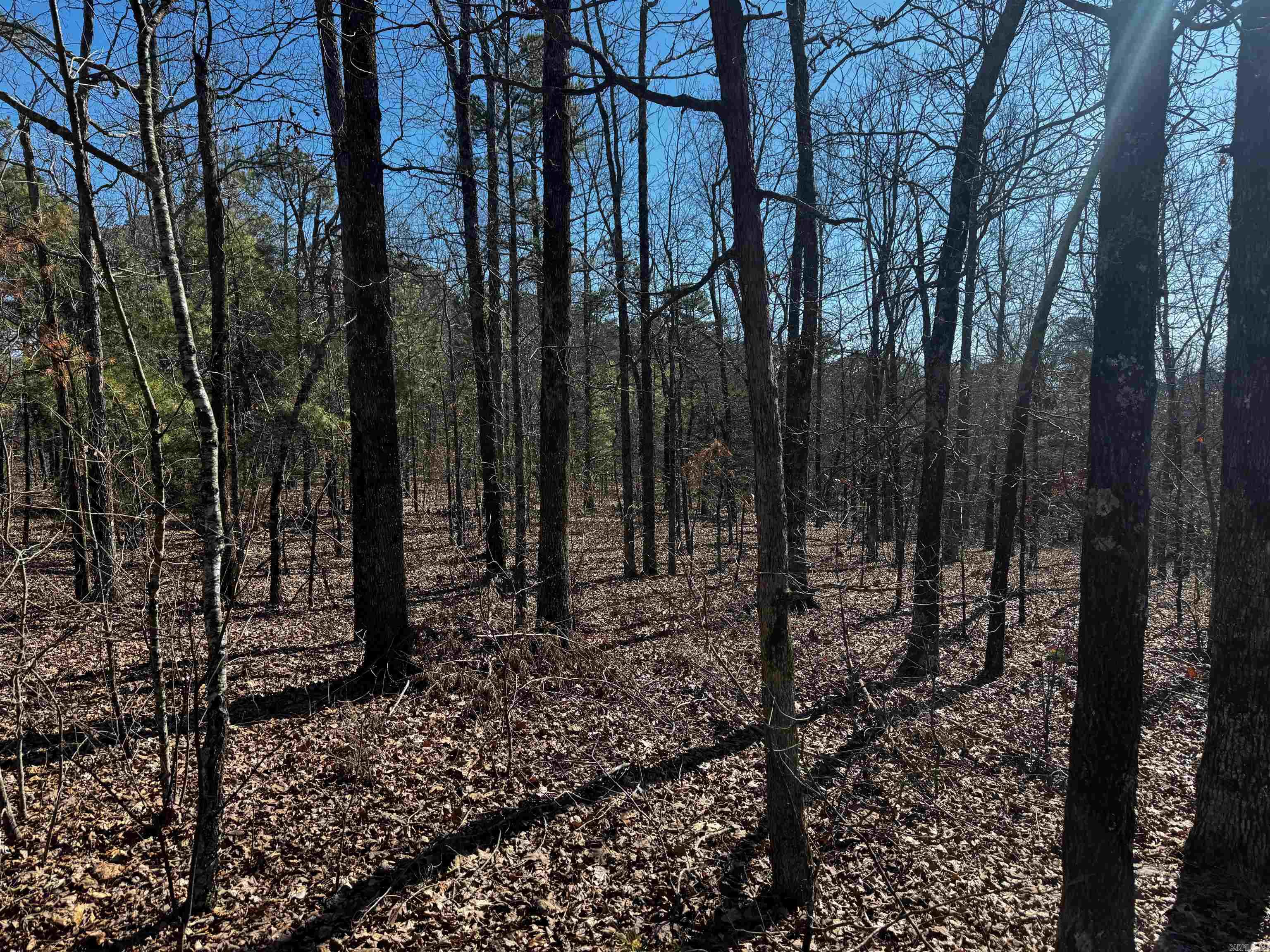 716  Eagle View  Clinton, AR