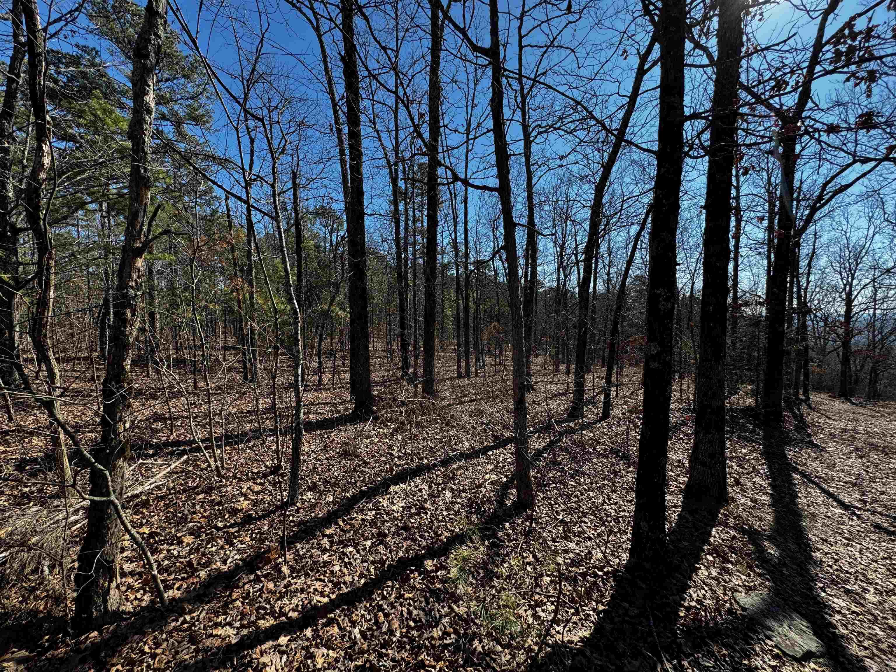 716  Eagle View  Clinton, AR