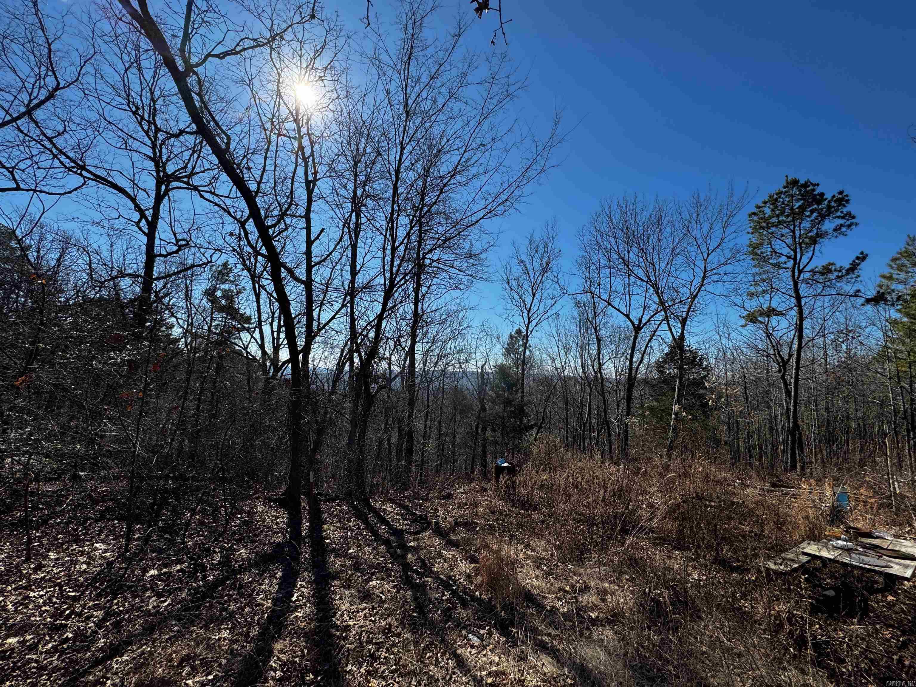 716  Eagle View  Clinton, AR