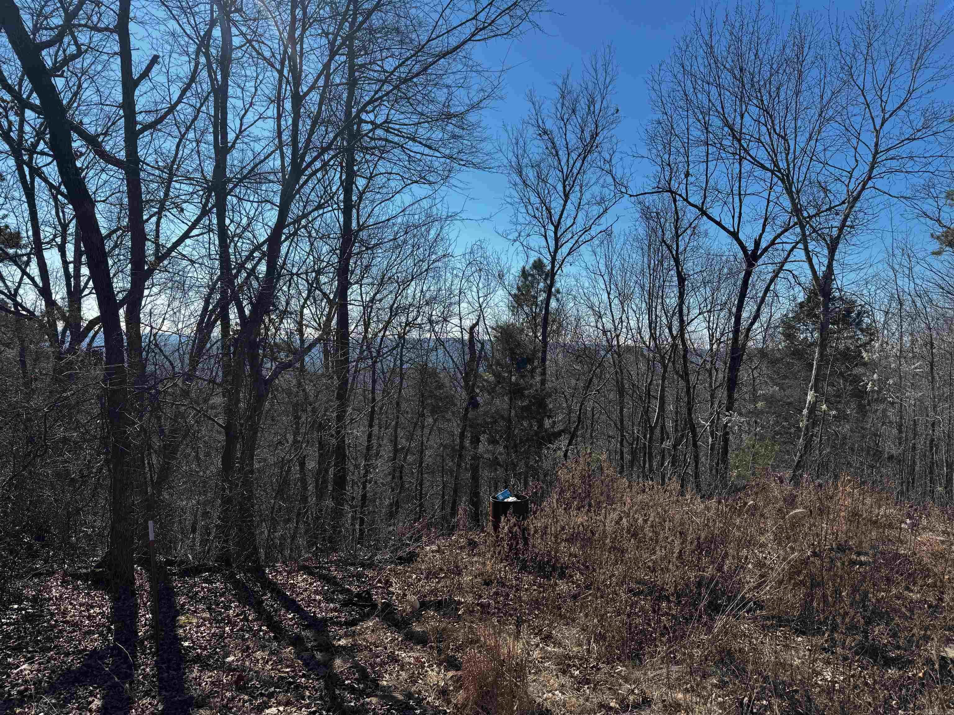 716  Eagle View  Clinton, AR