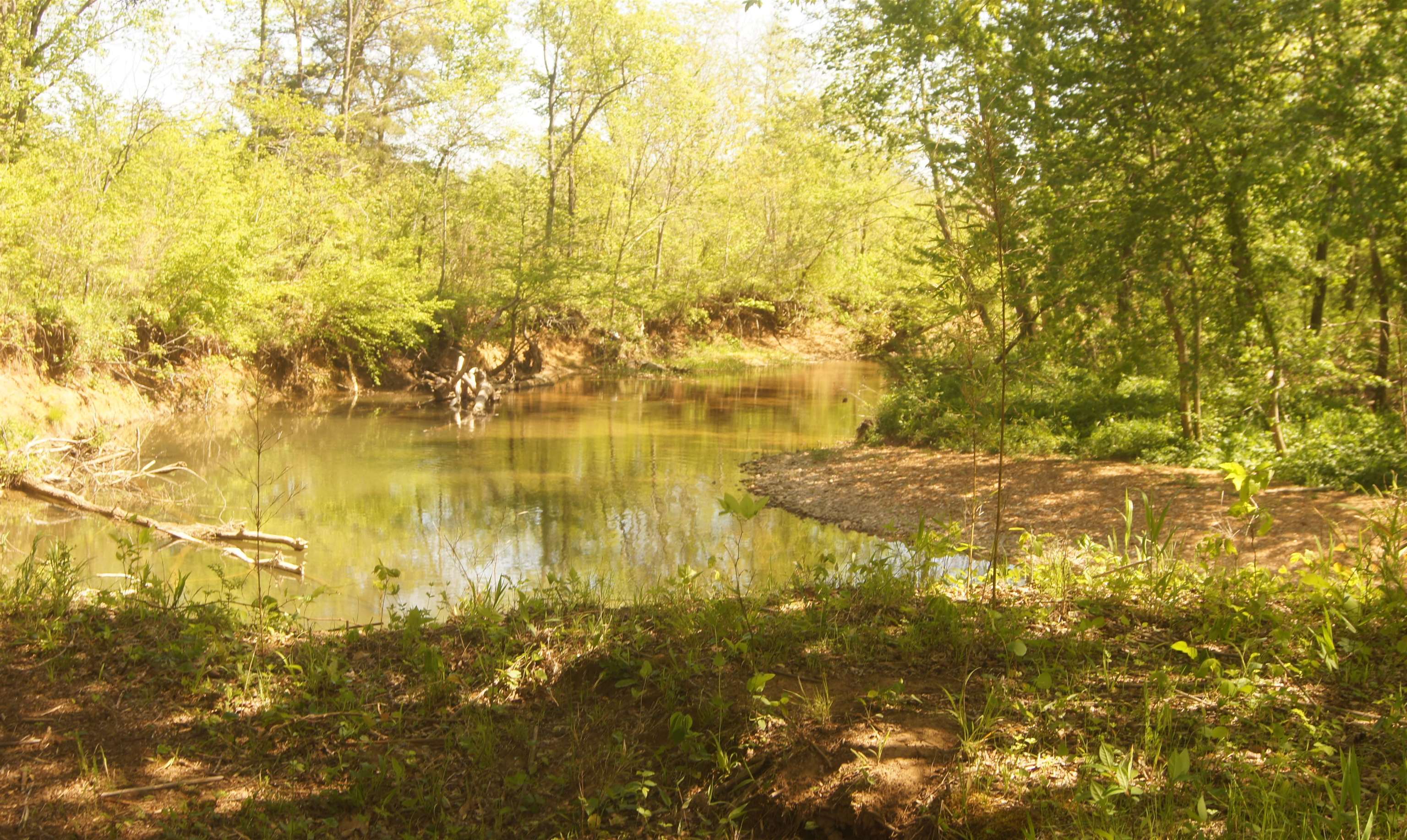 Lot 1  Booth Creek Road  Williford, AR