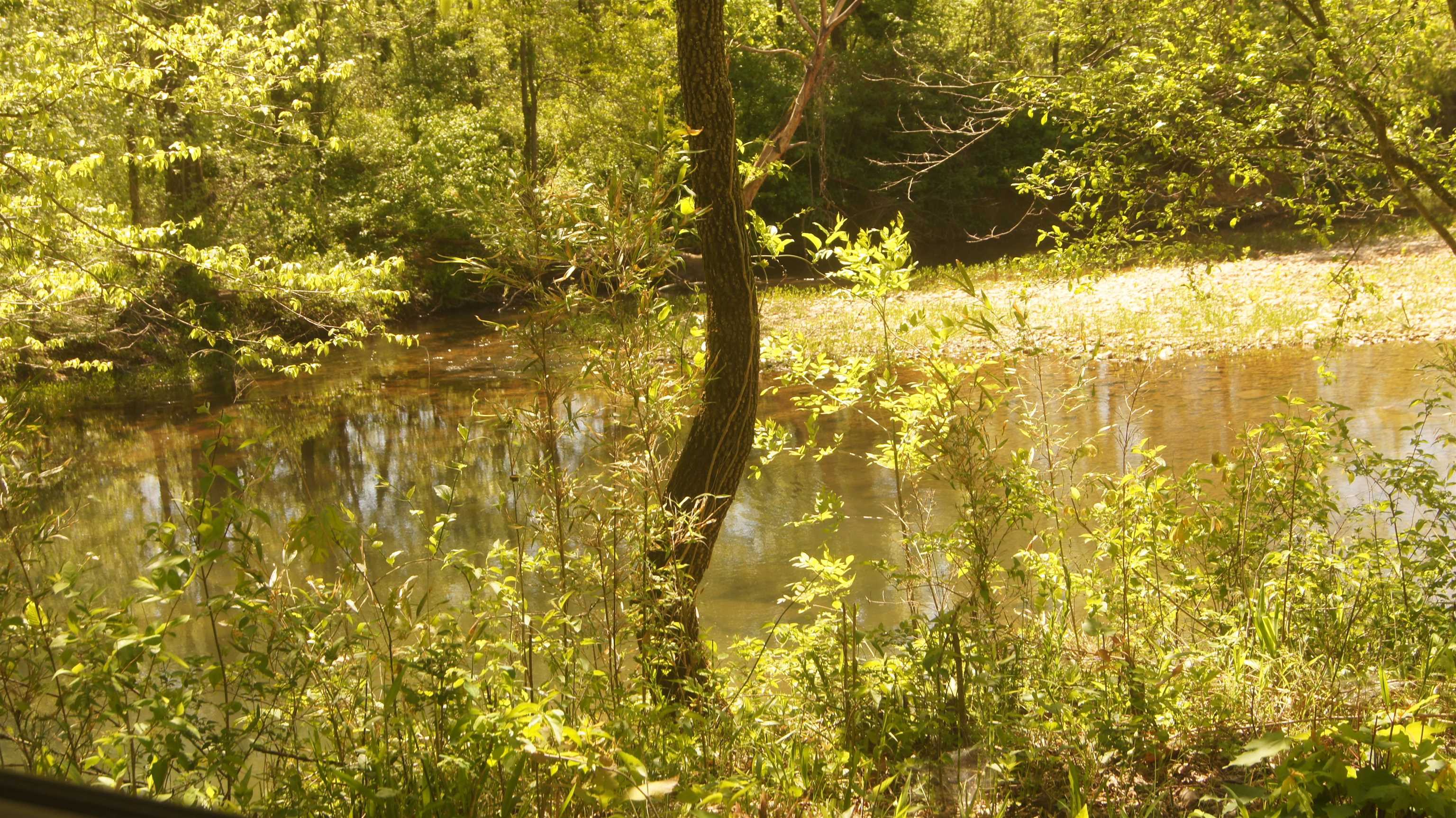 Lot 1  Booth Creek Road  Williford, AR