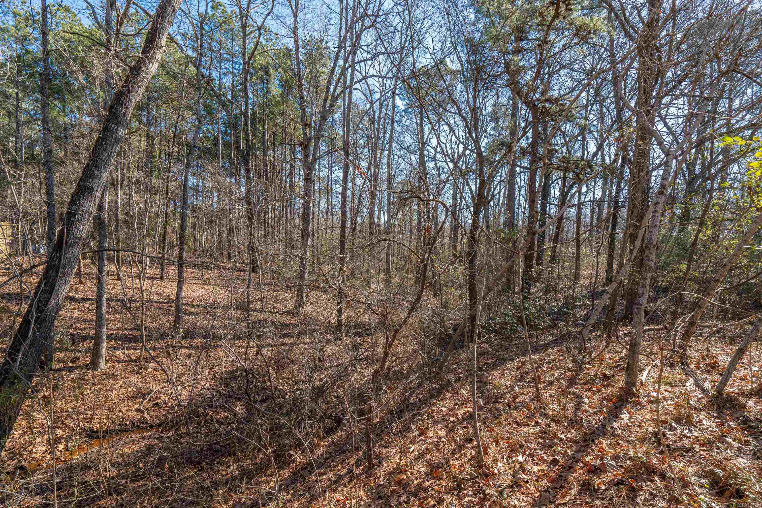 18100  Pheasant  Little Rock, AR