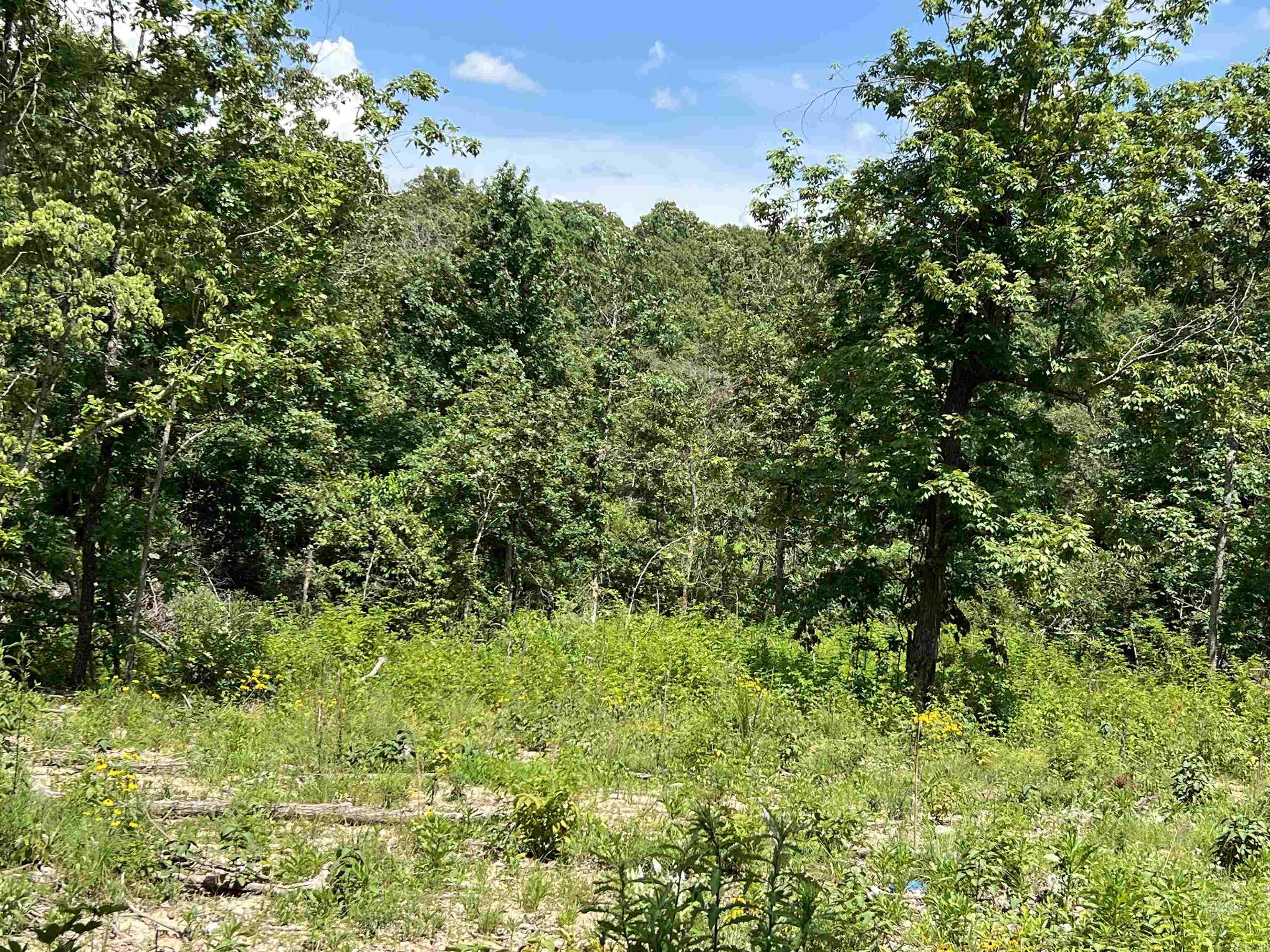 Lot 45 PR Ridge Haven  Mammoth Spring, AR