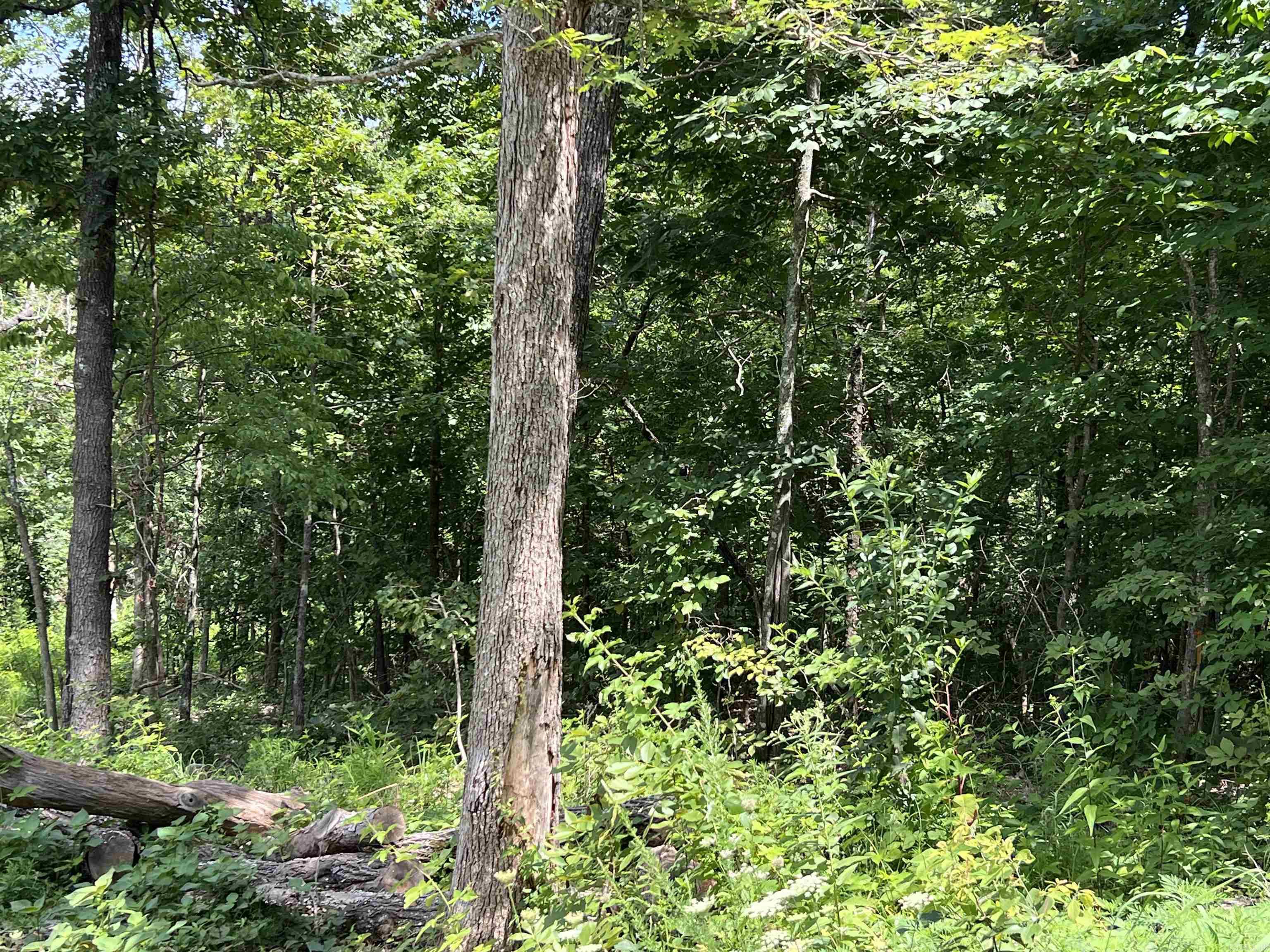 Lot 45 PR Ridge Haven  Mammoth Spring, AR