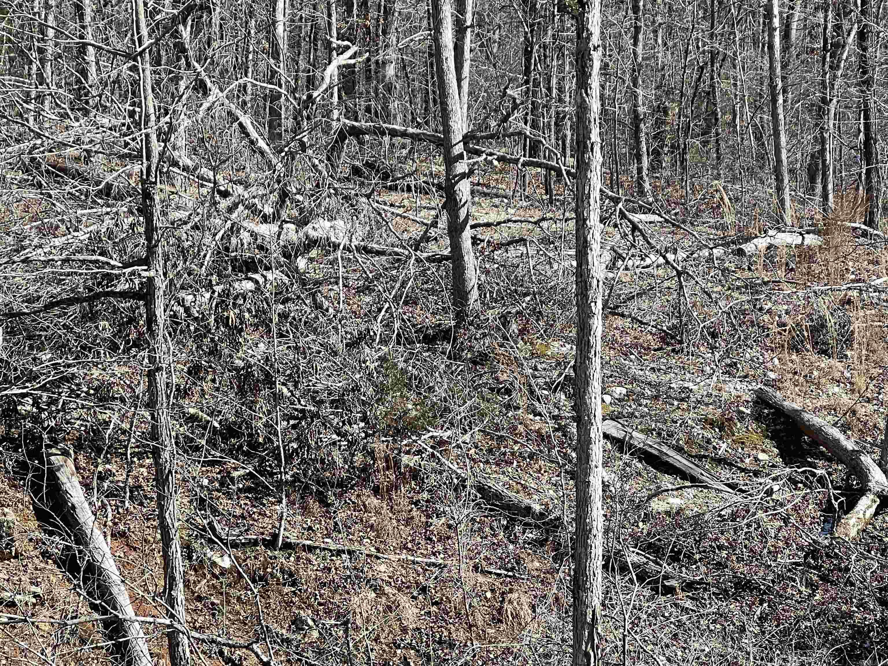 Lot 45  PR Ridge Haven  Mammoth Spring, AR