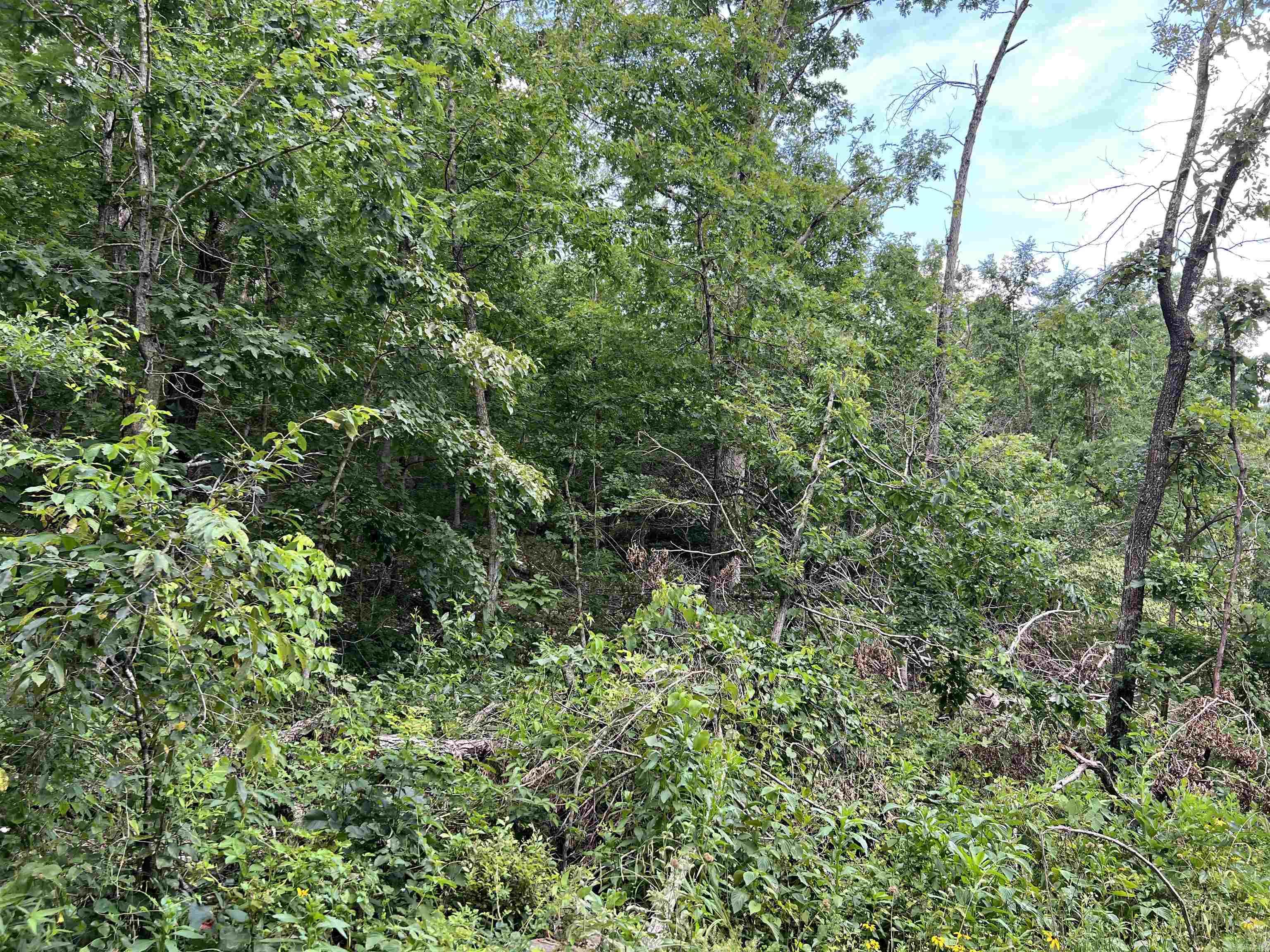 Lot 45 PR Ridge Haven  Mammoth Spring, AR