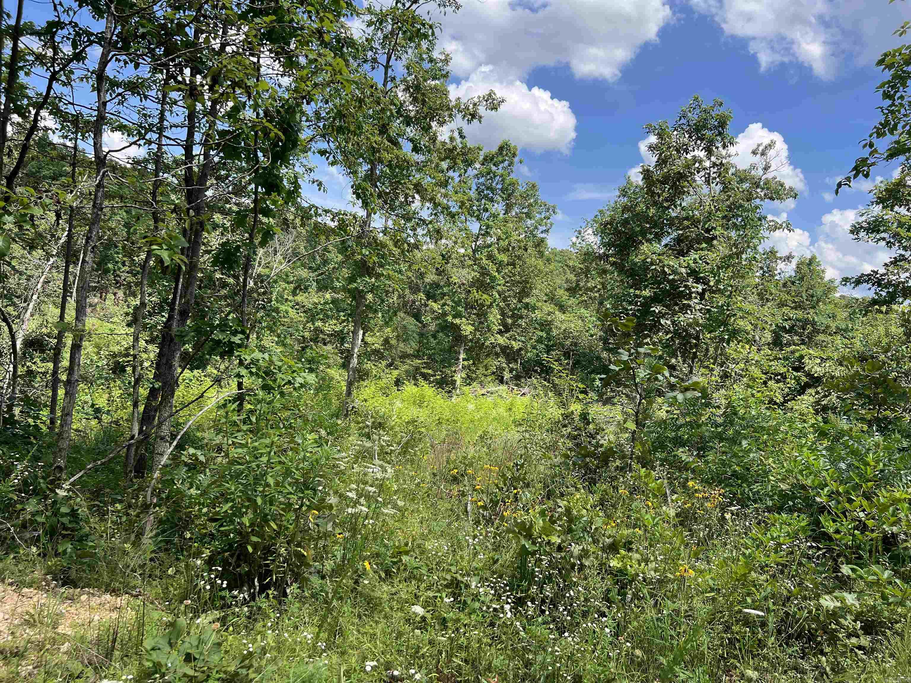 Lot 45 PR Ridge Haven  Mammoth Spring, AR