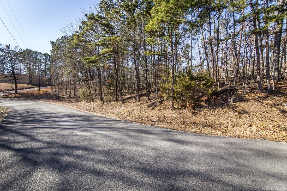 Lot B,C & D  Traway Lane/ Stanfield Road  Edgemont, AR