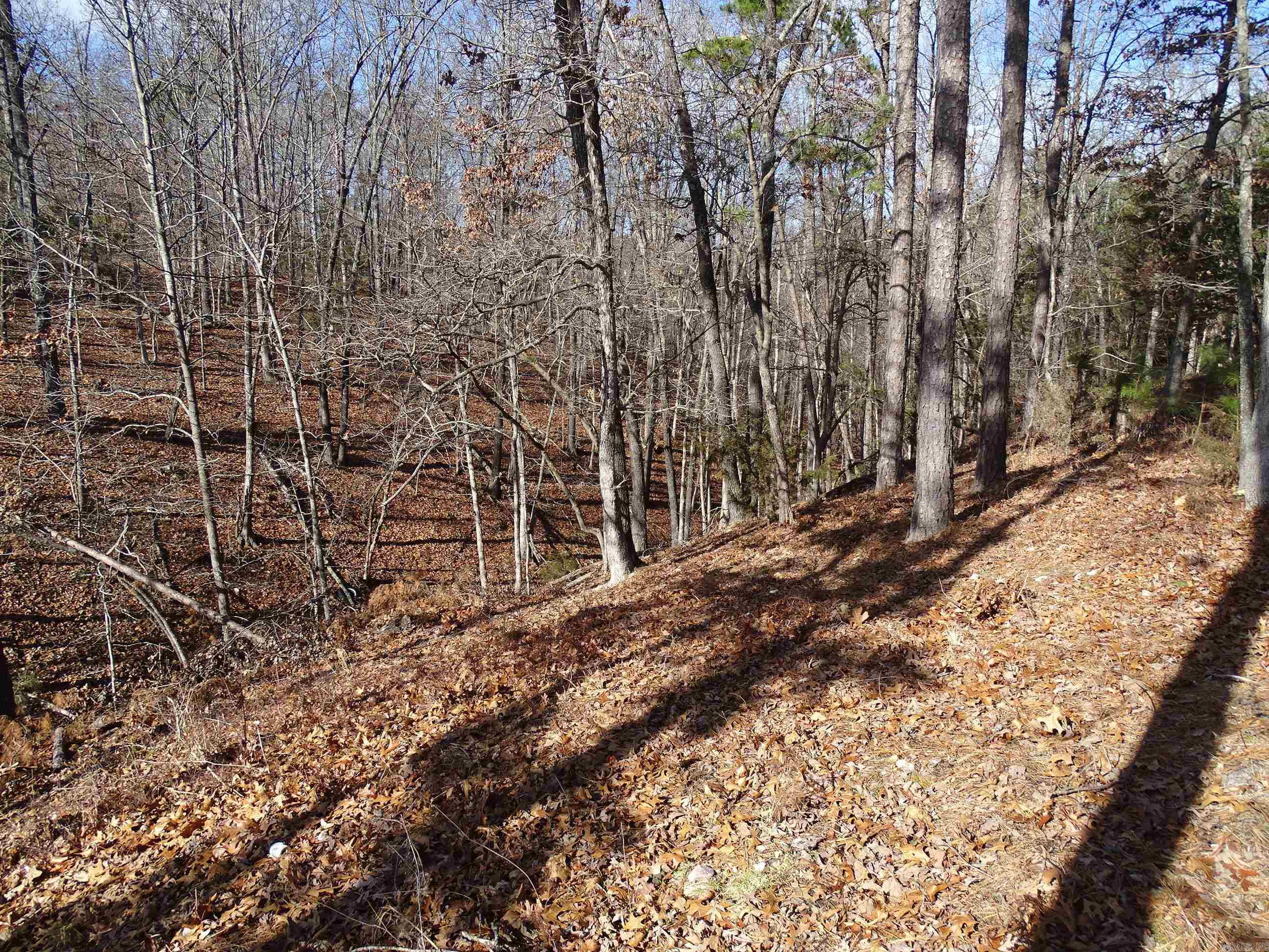1163  Fee Hollow  Yellville, AR