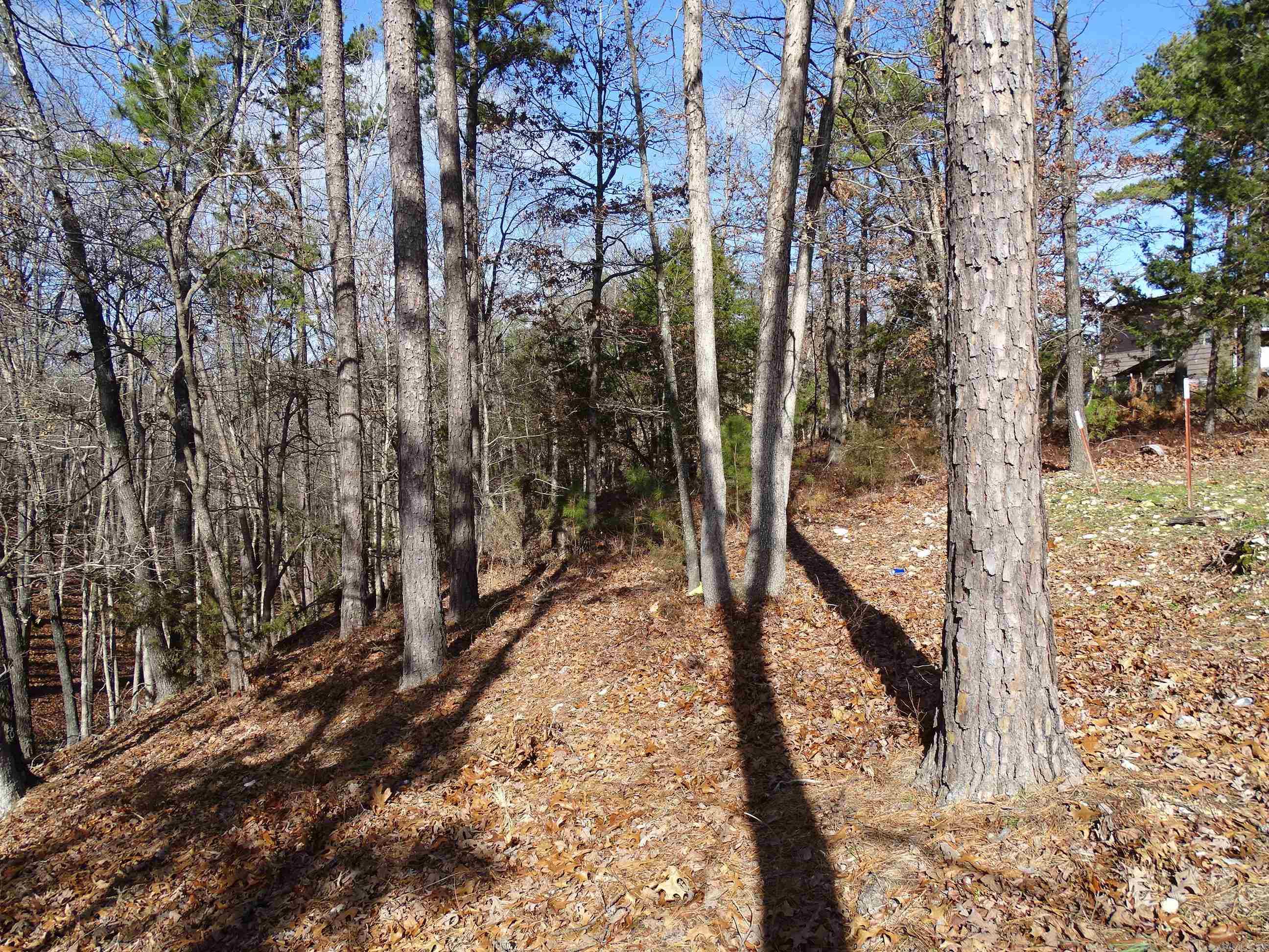 1163  Fee Hollow  Yellville, AR