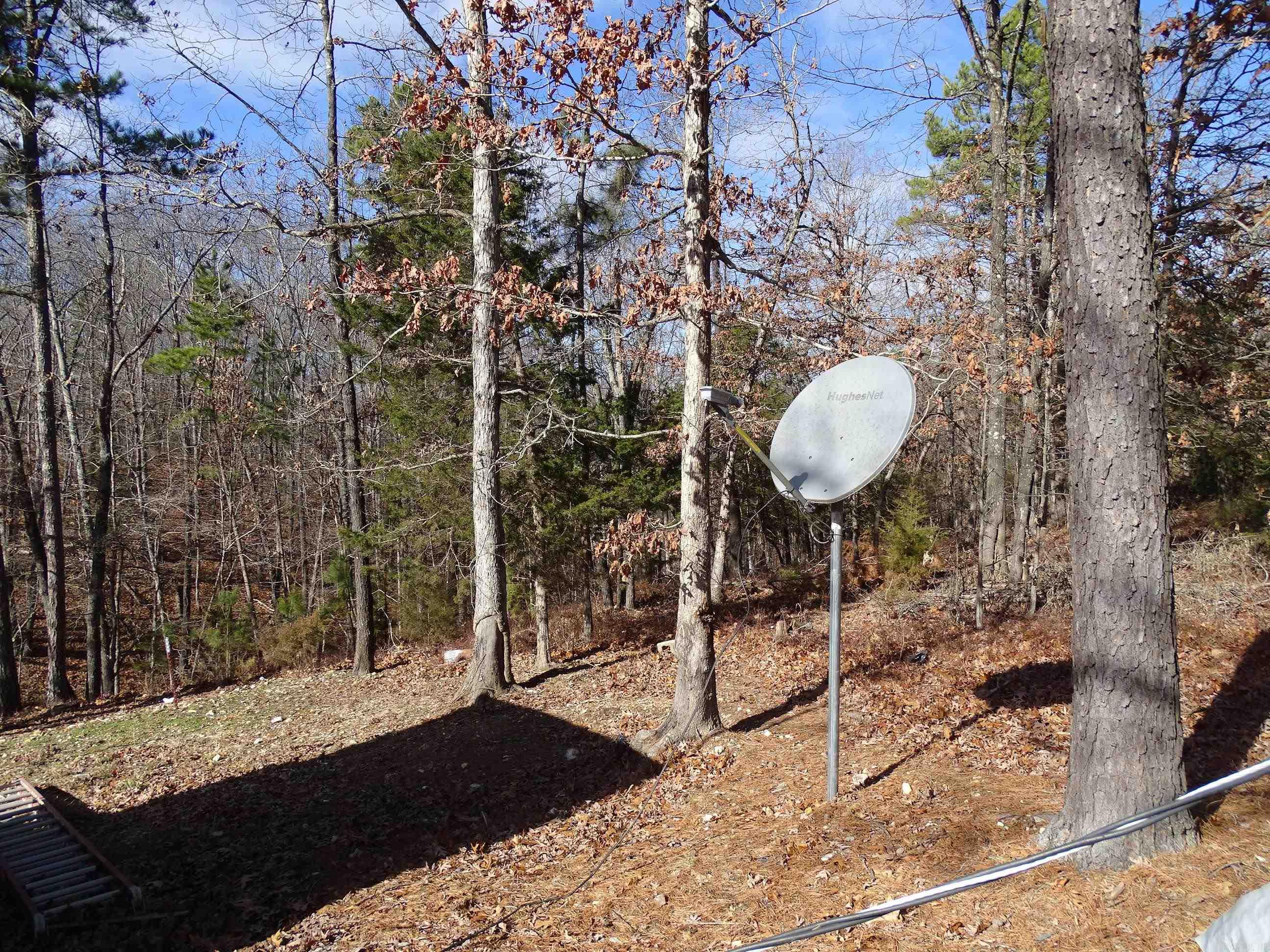 1163  Fee Hollow  Yellville, AR