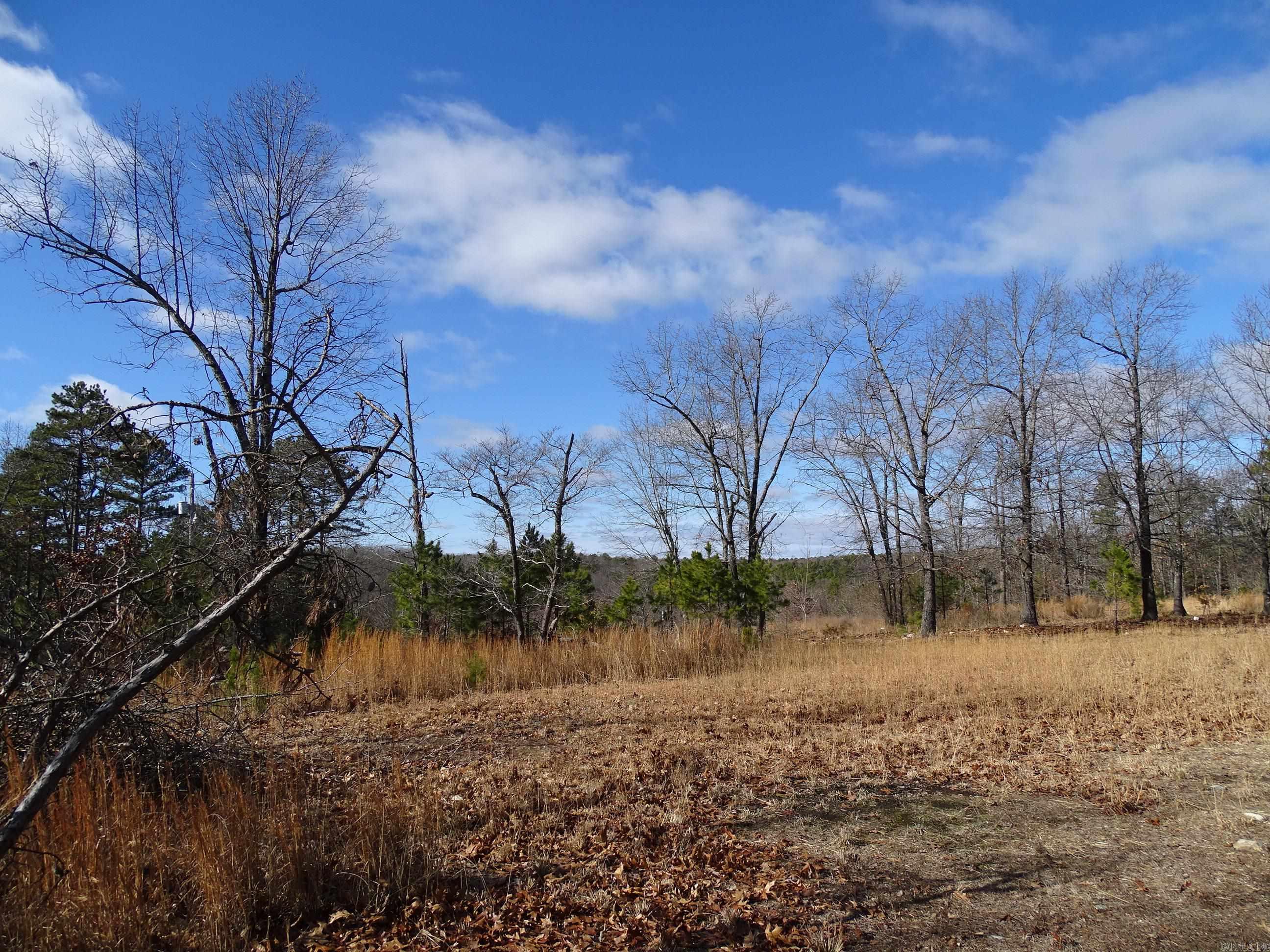 1163  Fee Hollow  Yellville, AR